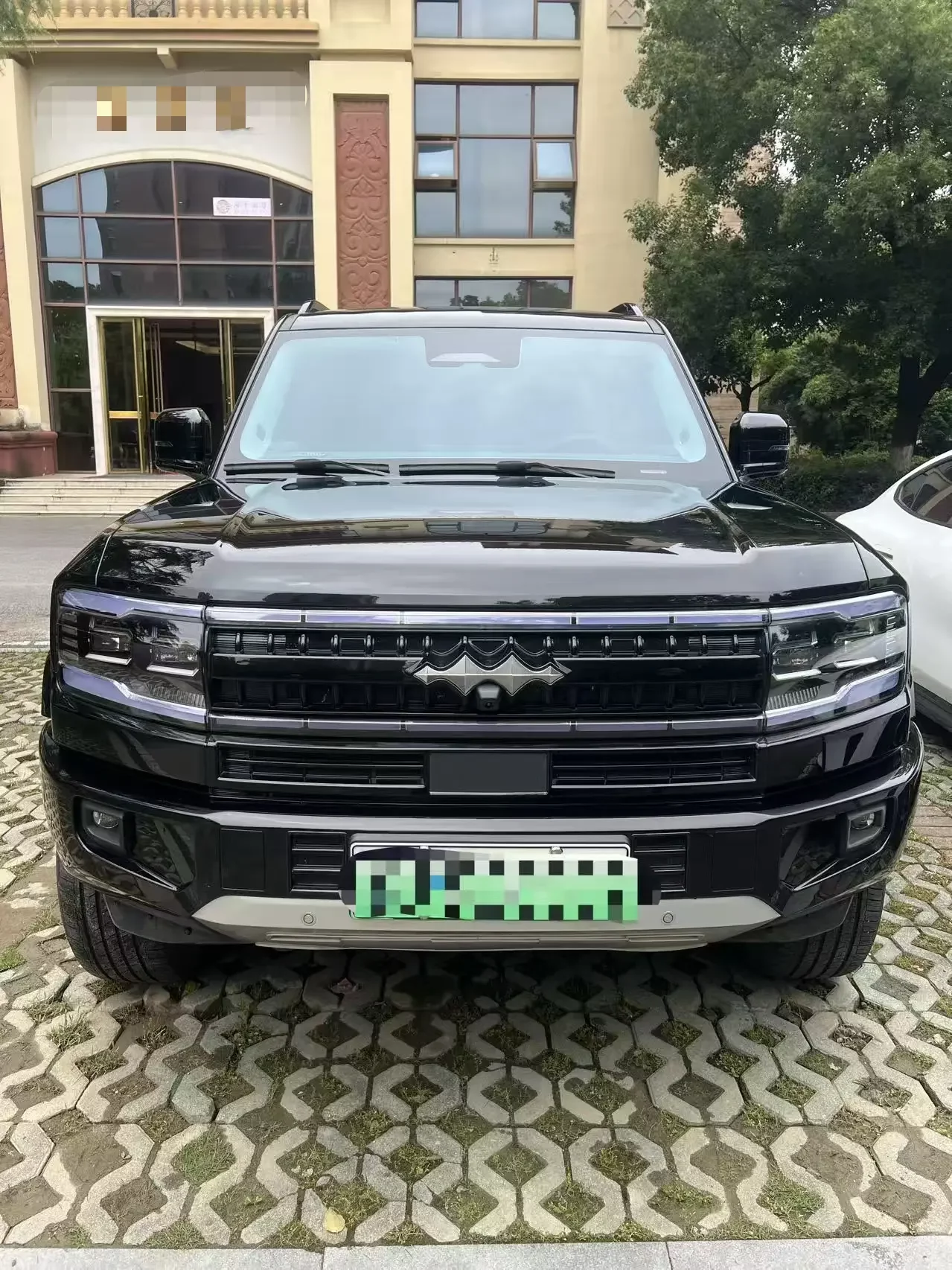 BYD Leopard Leopard 5