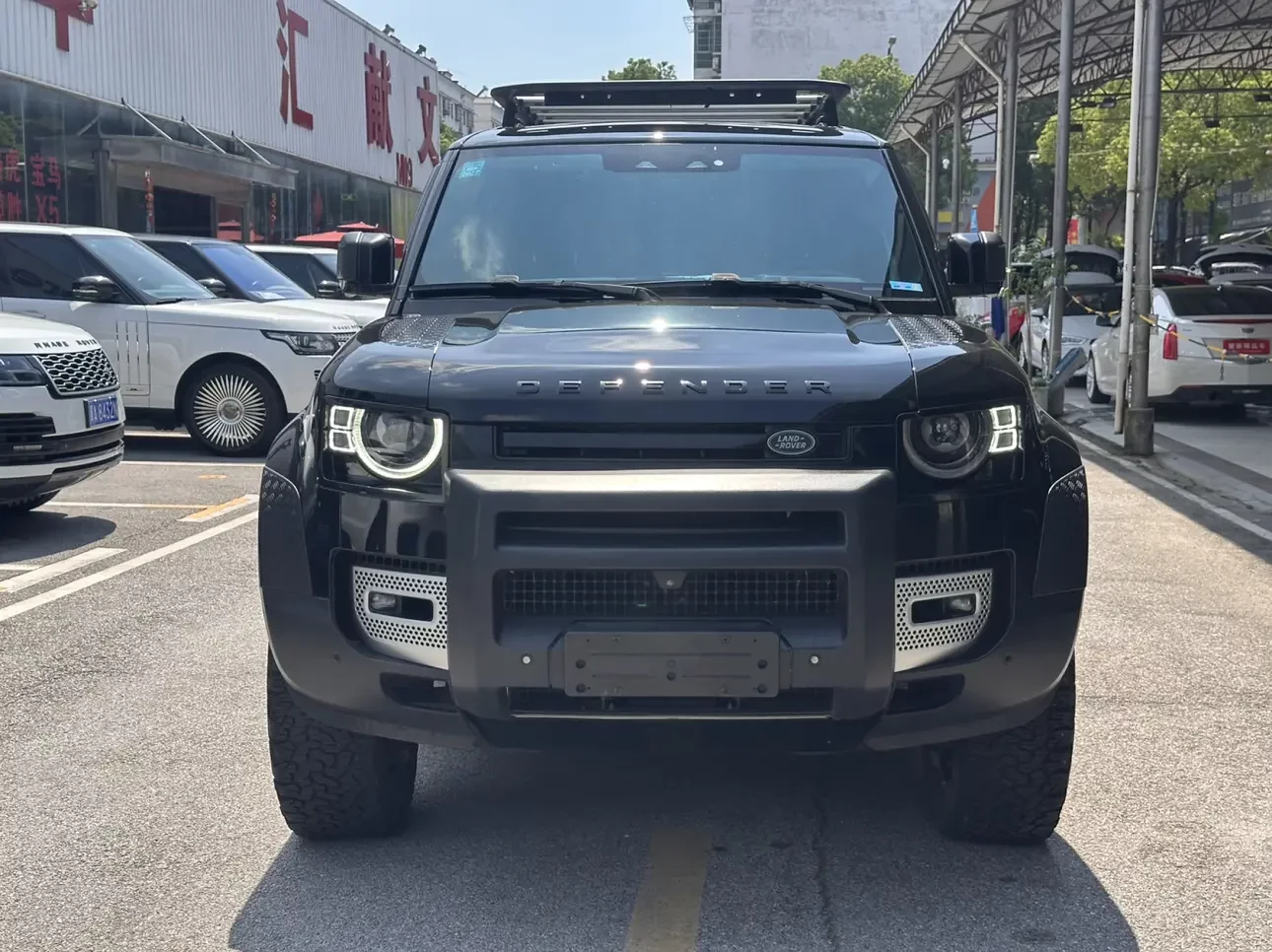 Land Rover guard