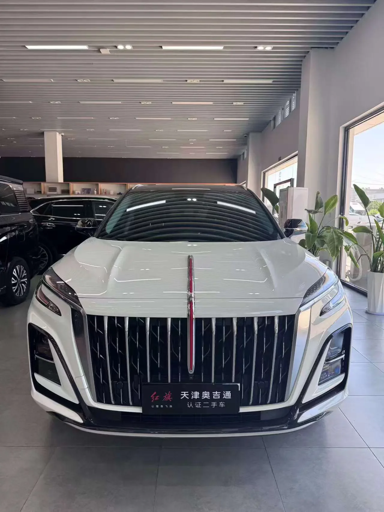 Hongqi HS3