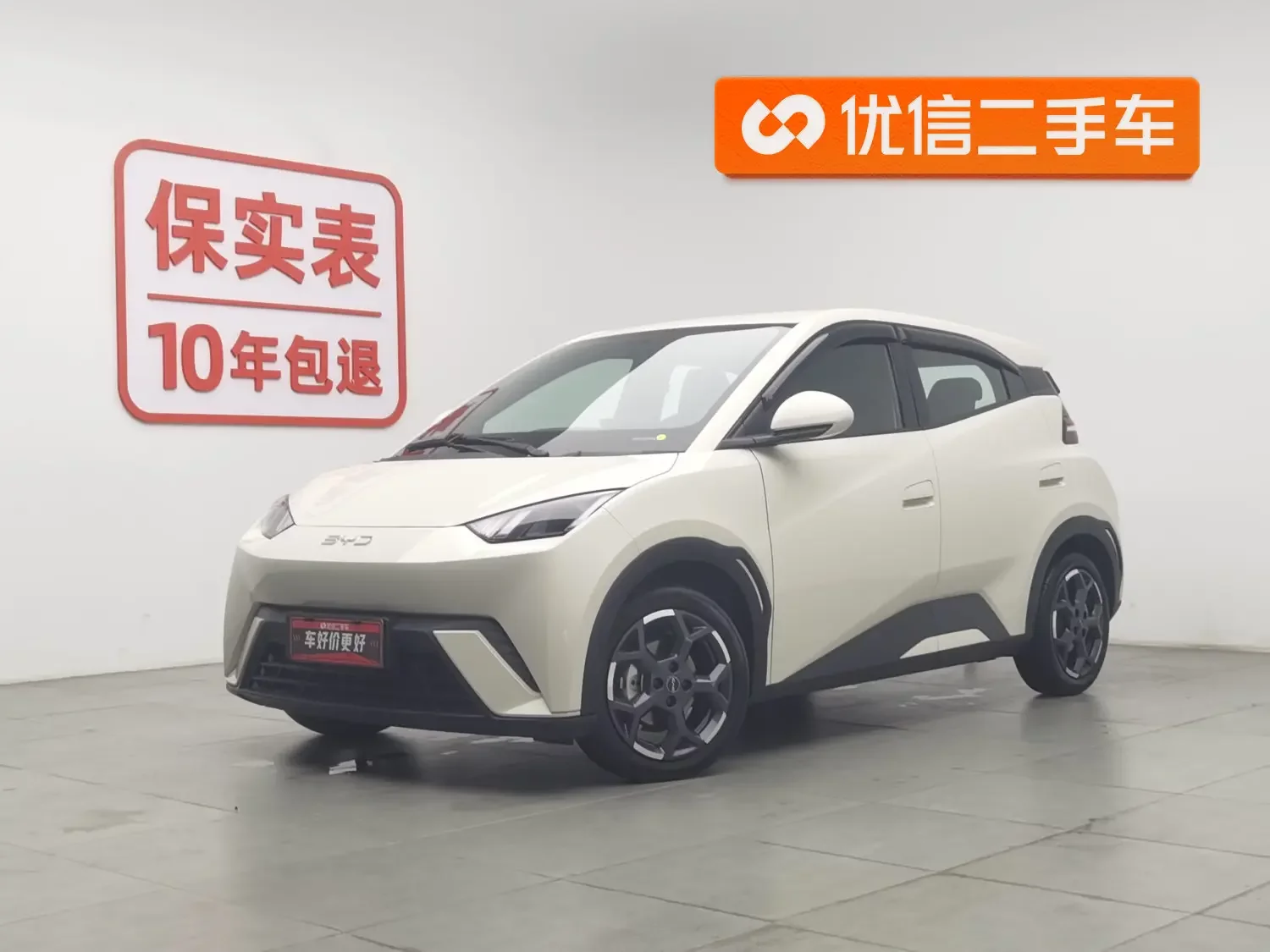BYD seagull