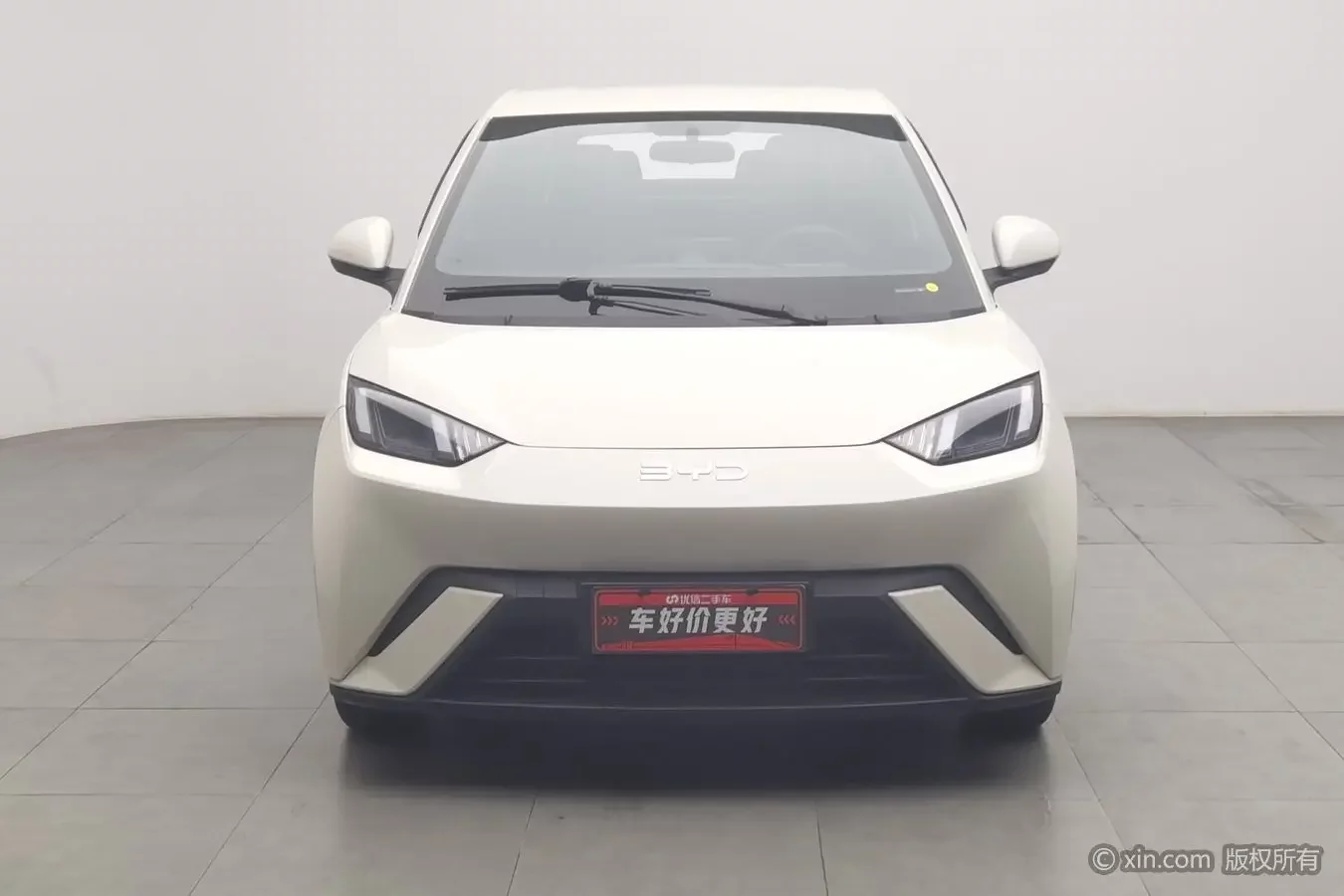 BYD seagull