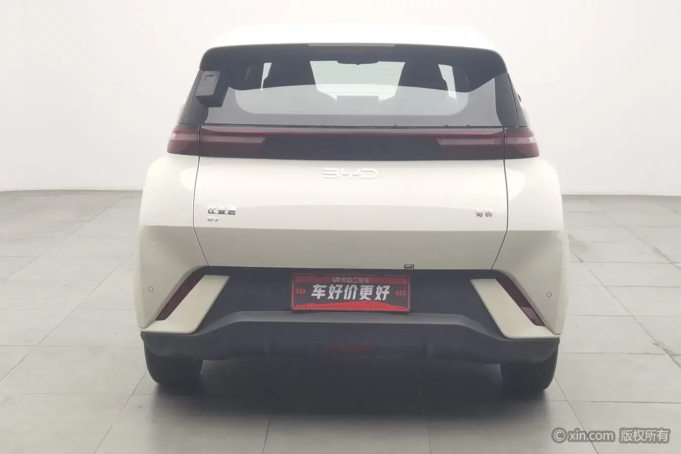 BYD seagull