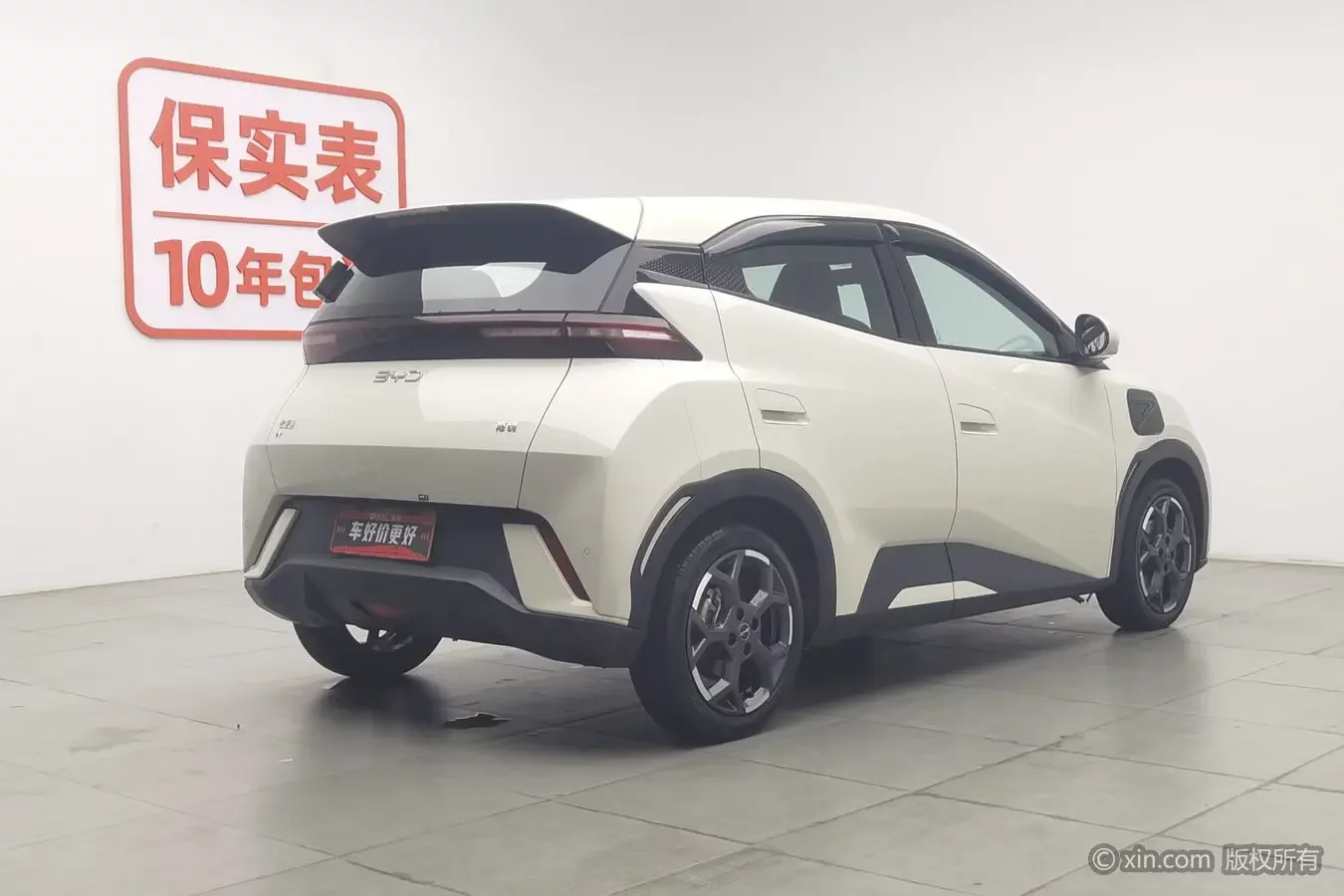 BYD seagull