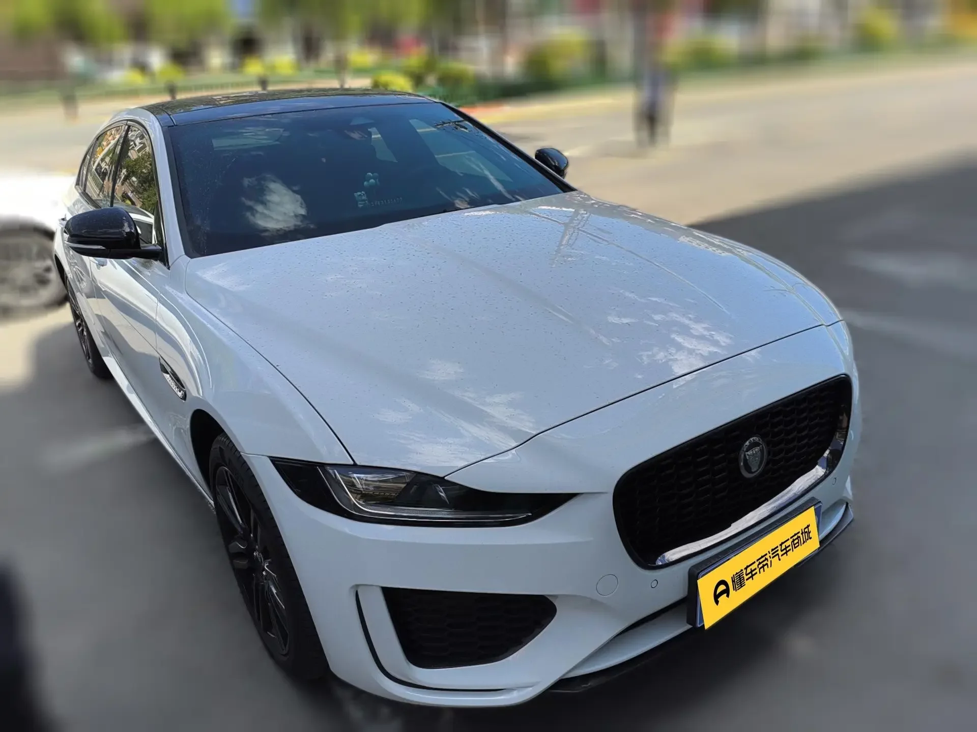 Jaguar XEL
