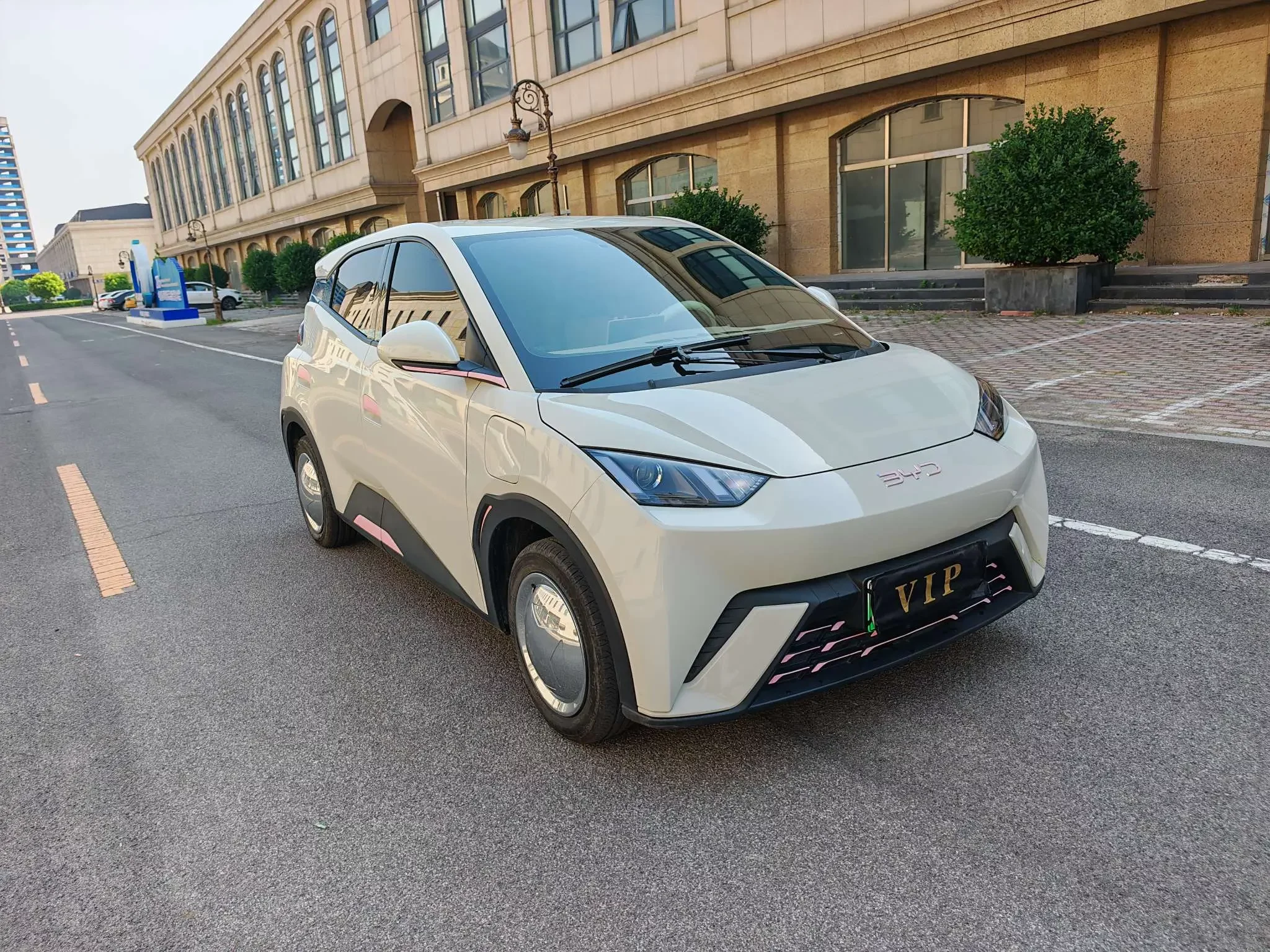BYD seagull