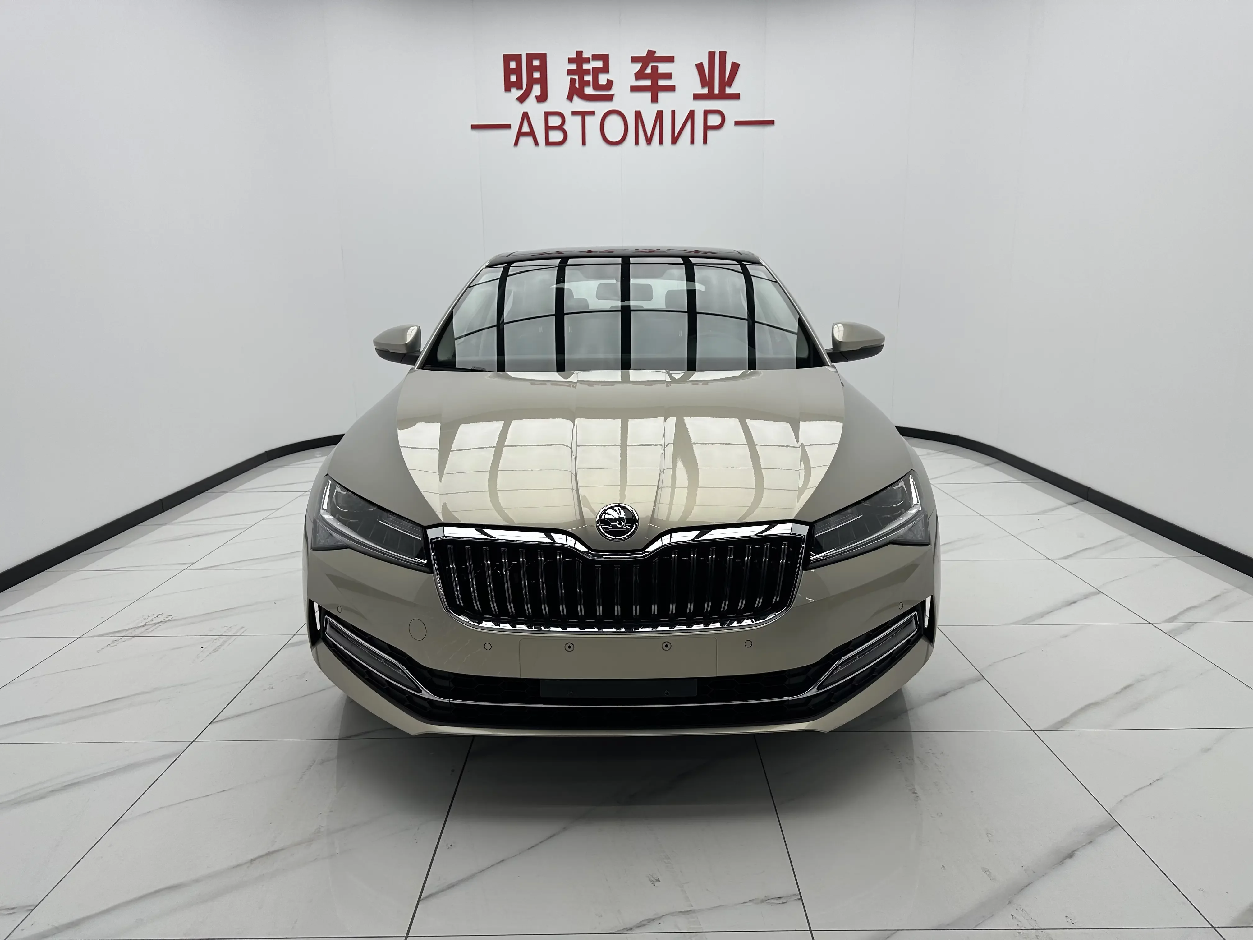 Skoda Speedy