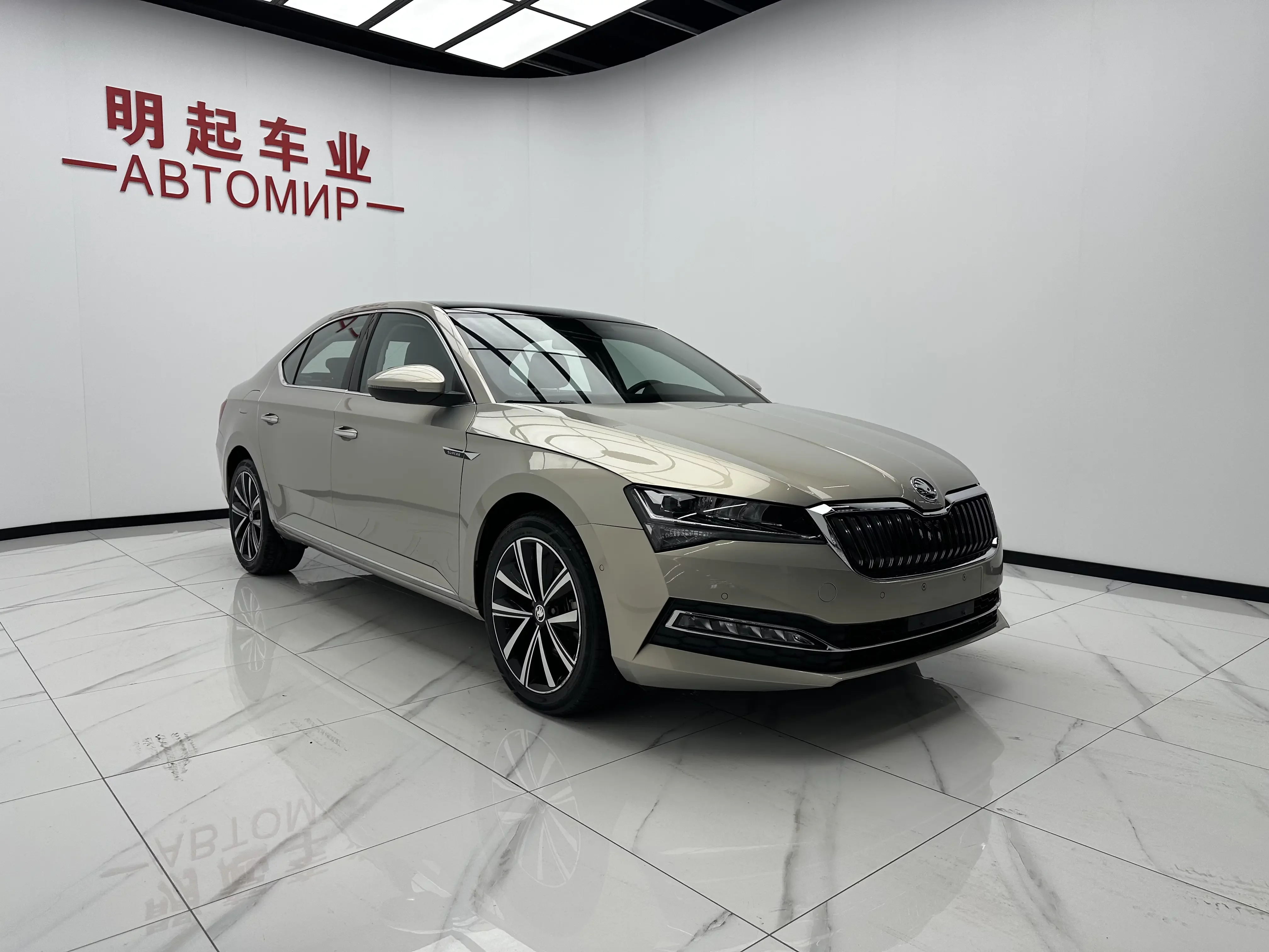 Skoda Speedy