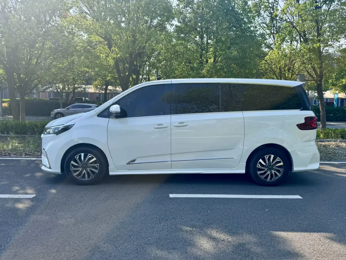 Datong Maxus G20