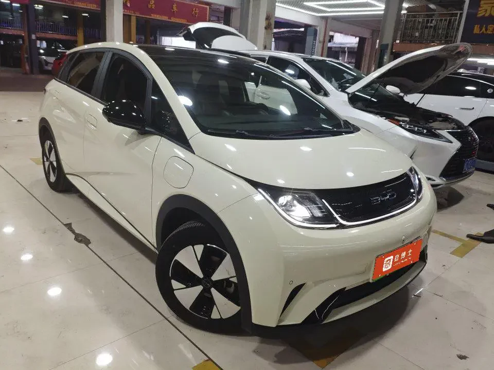 BYD dolphin