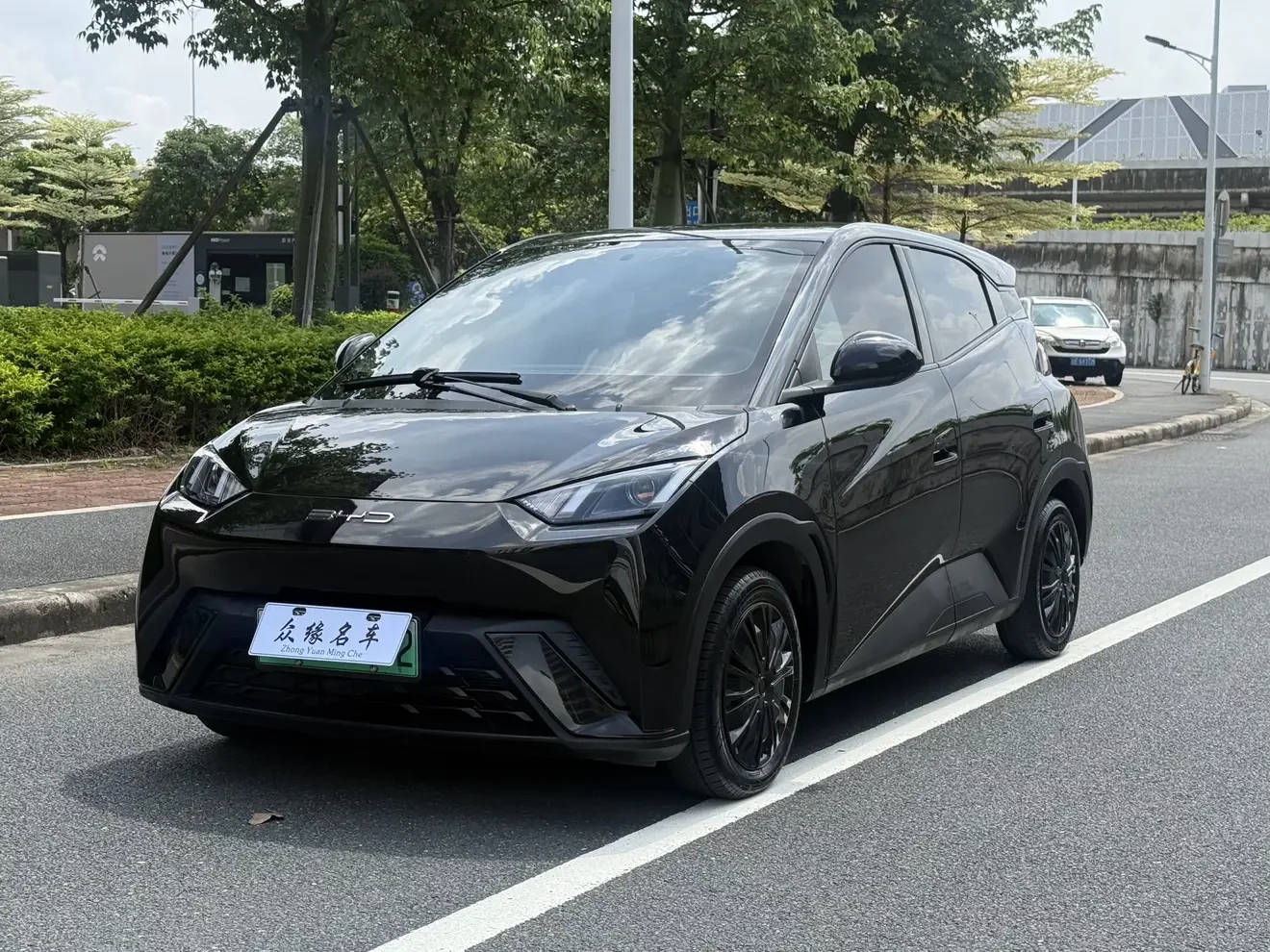BYD seagull