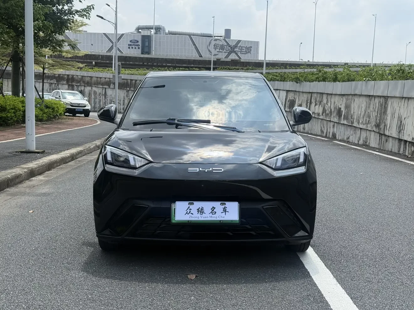 BYD seagull