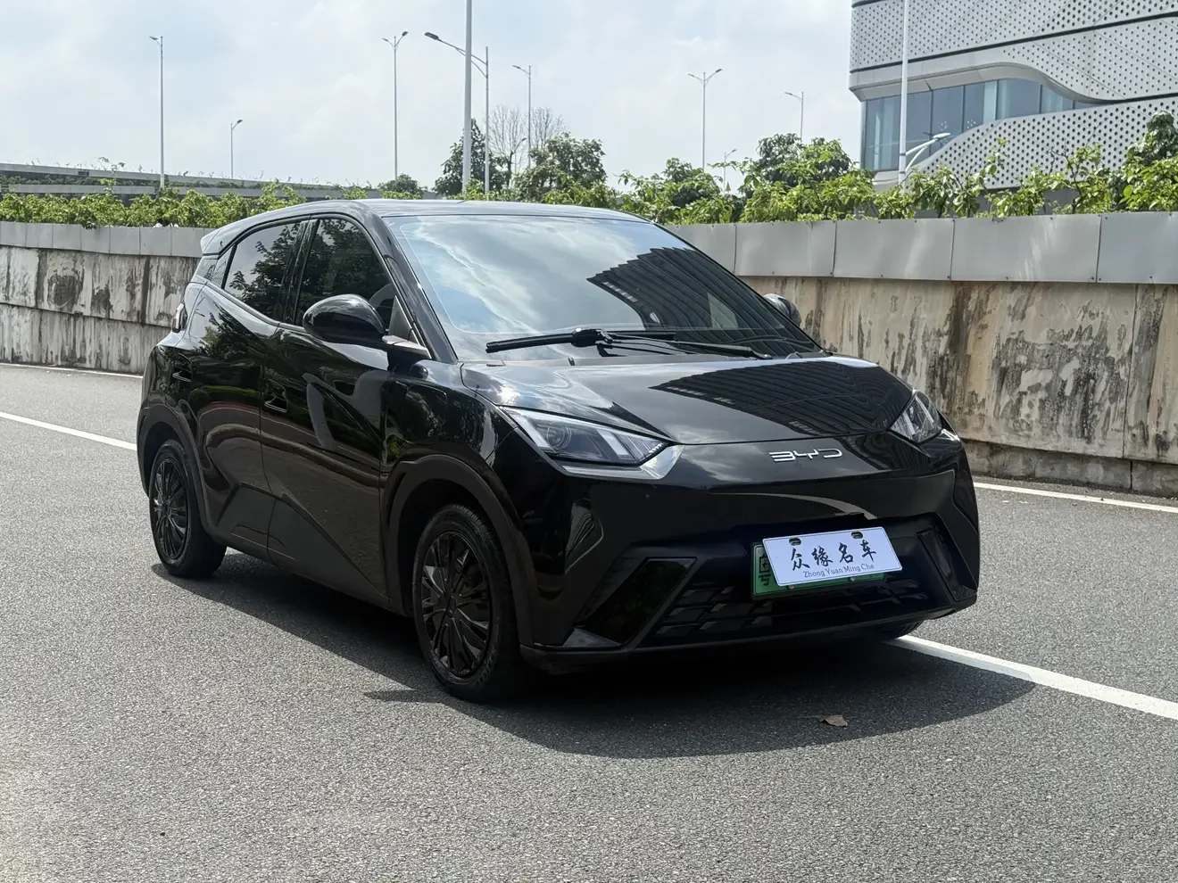 BYD seagull