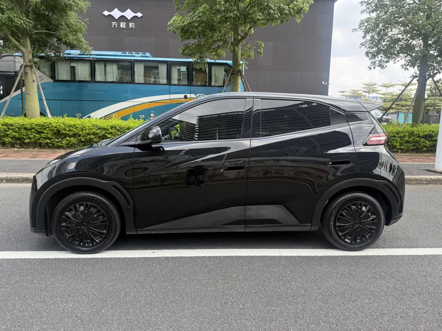 BYD seagull