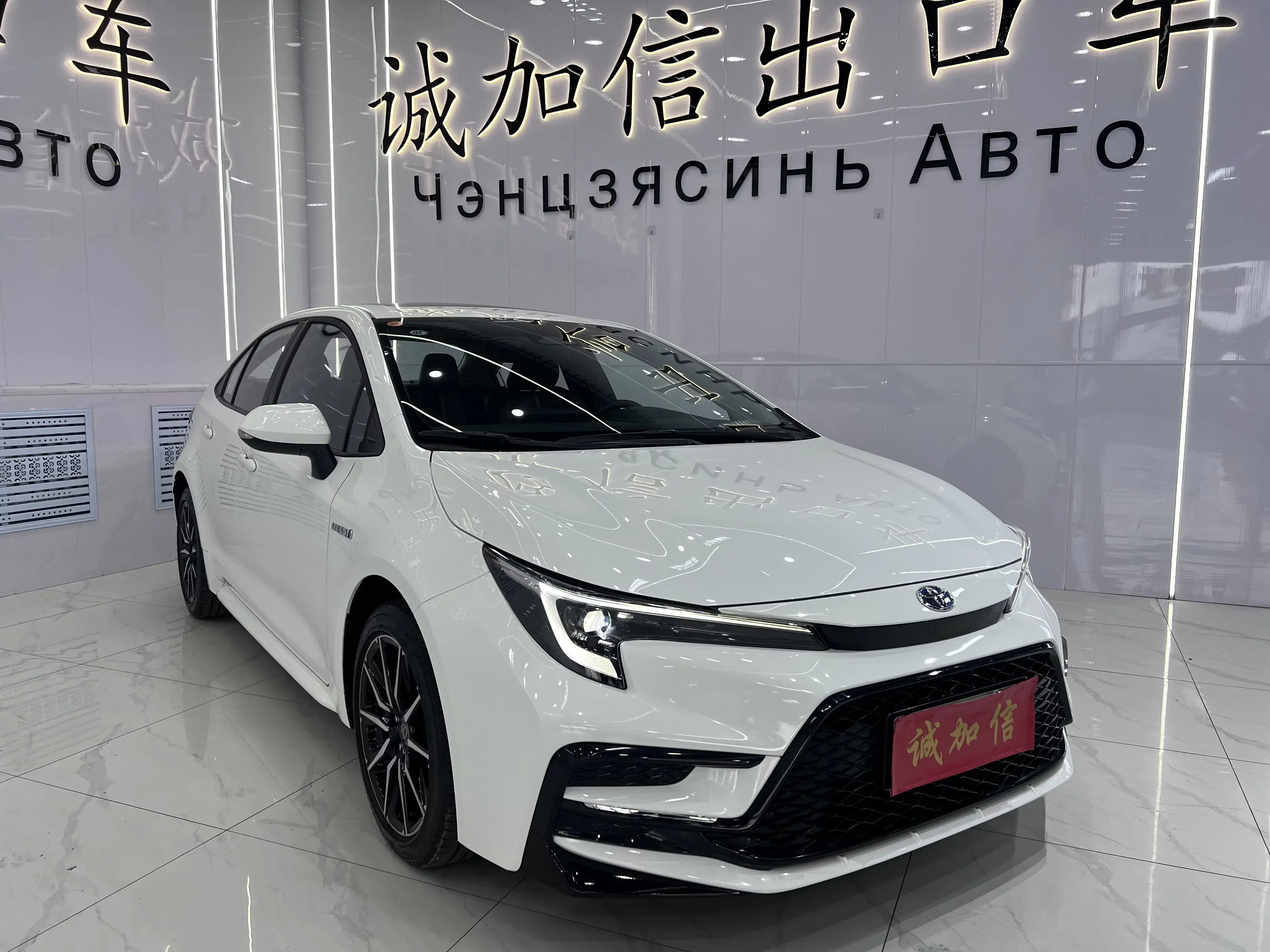 Toyota Levin
