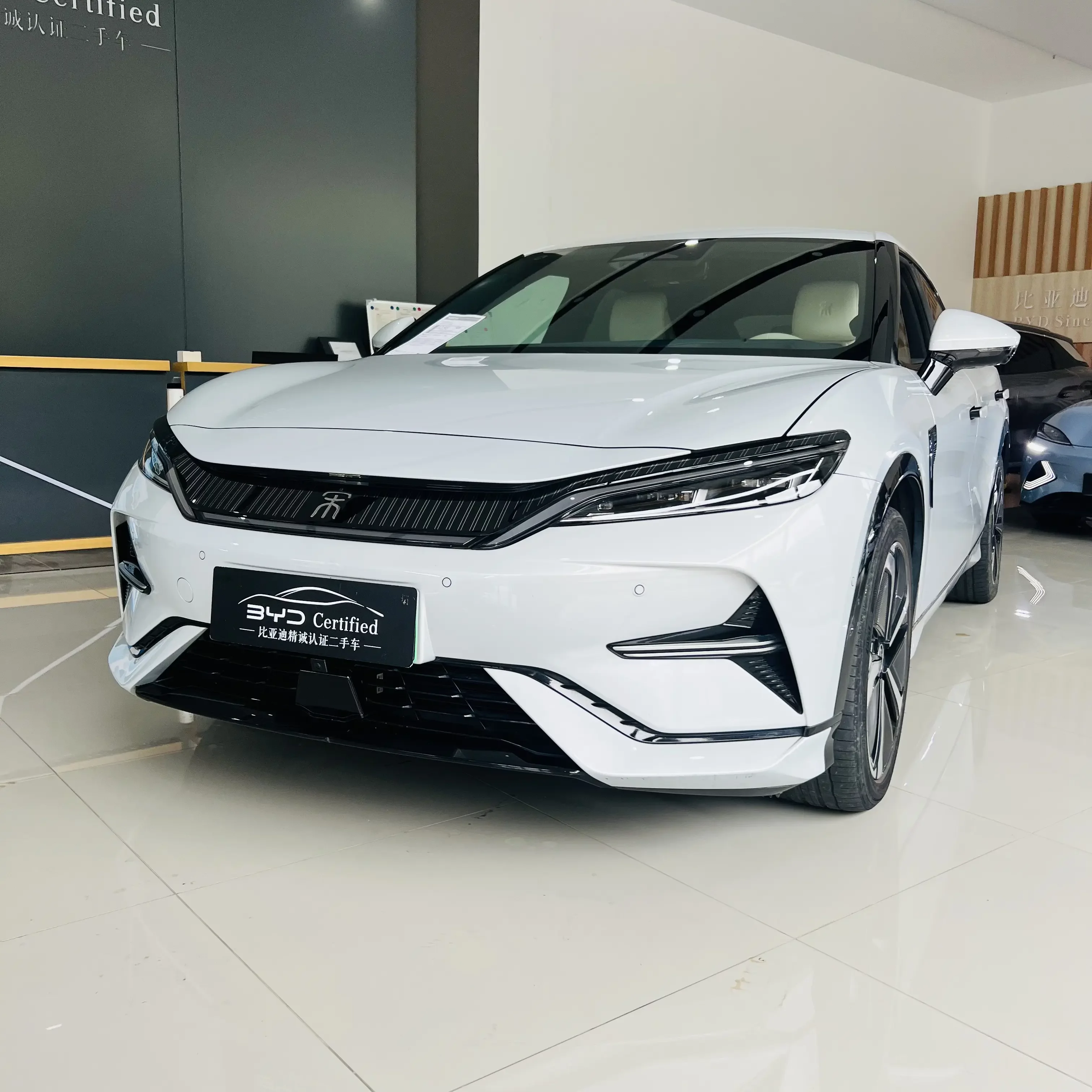 BYD Song L EV