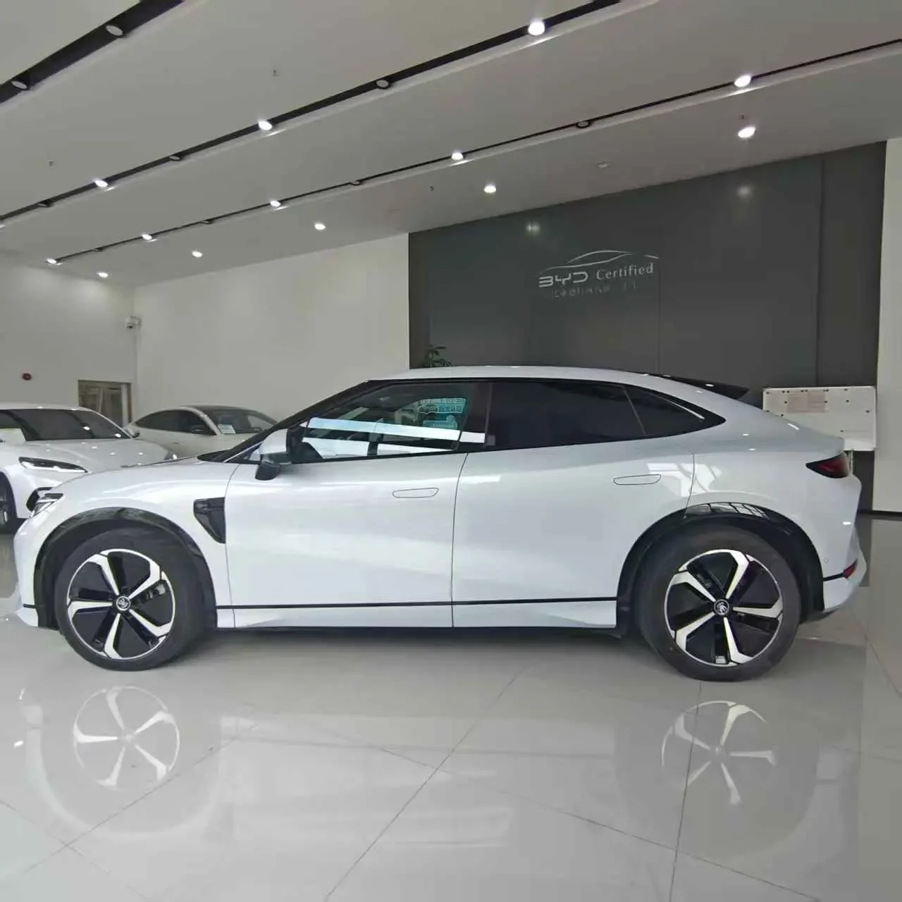 BYD Song L EV