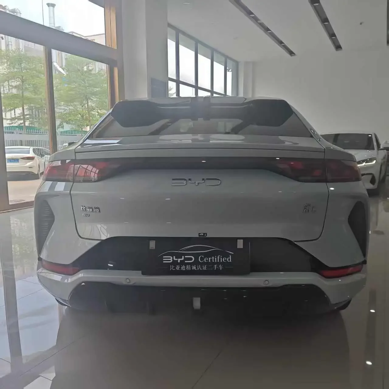 BYD Song L EV