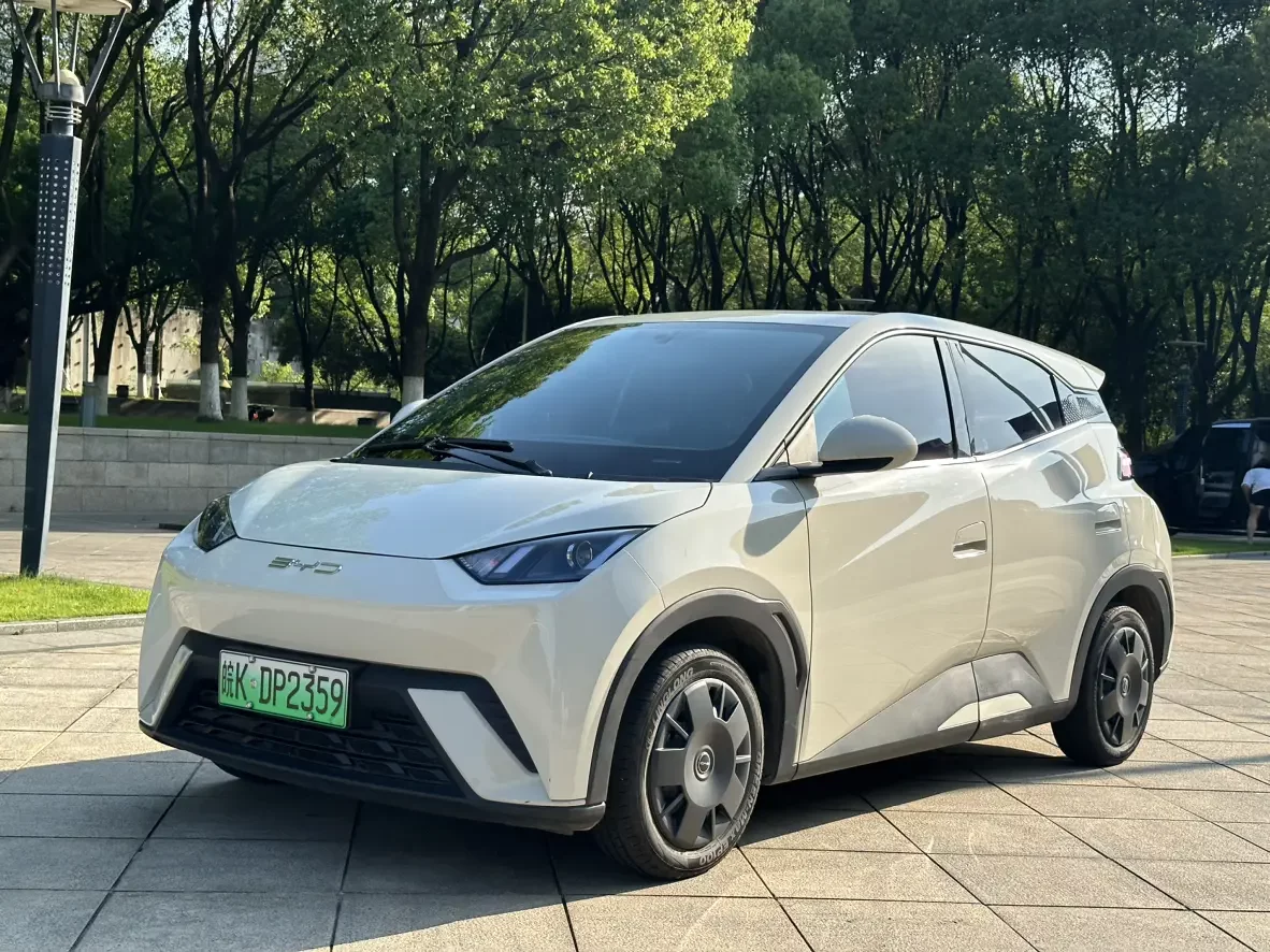 BYD seagull