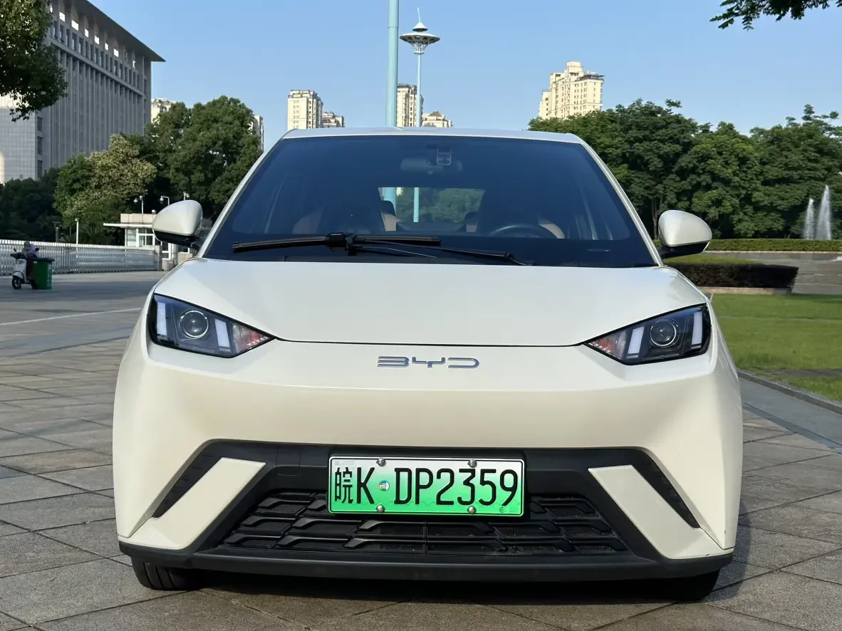 BYD seagull