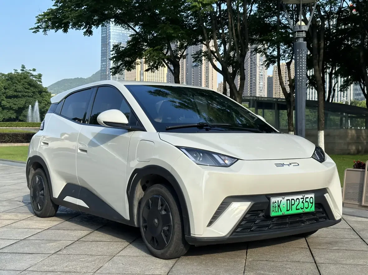 BYD seagull