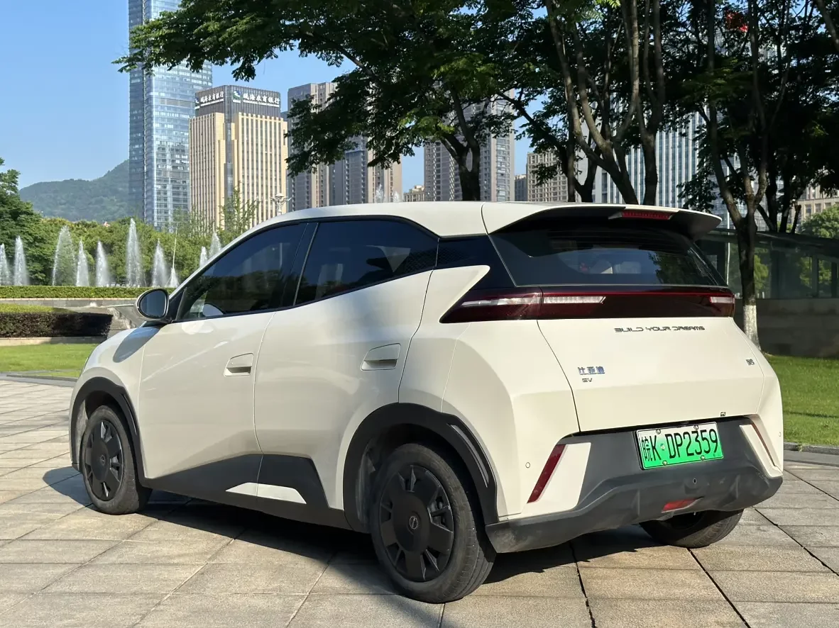 BYD seagull