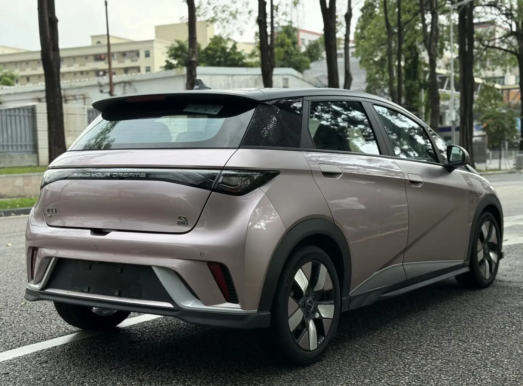BYD dolphin