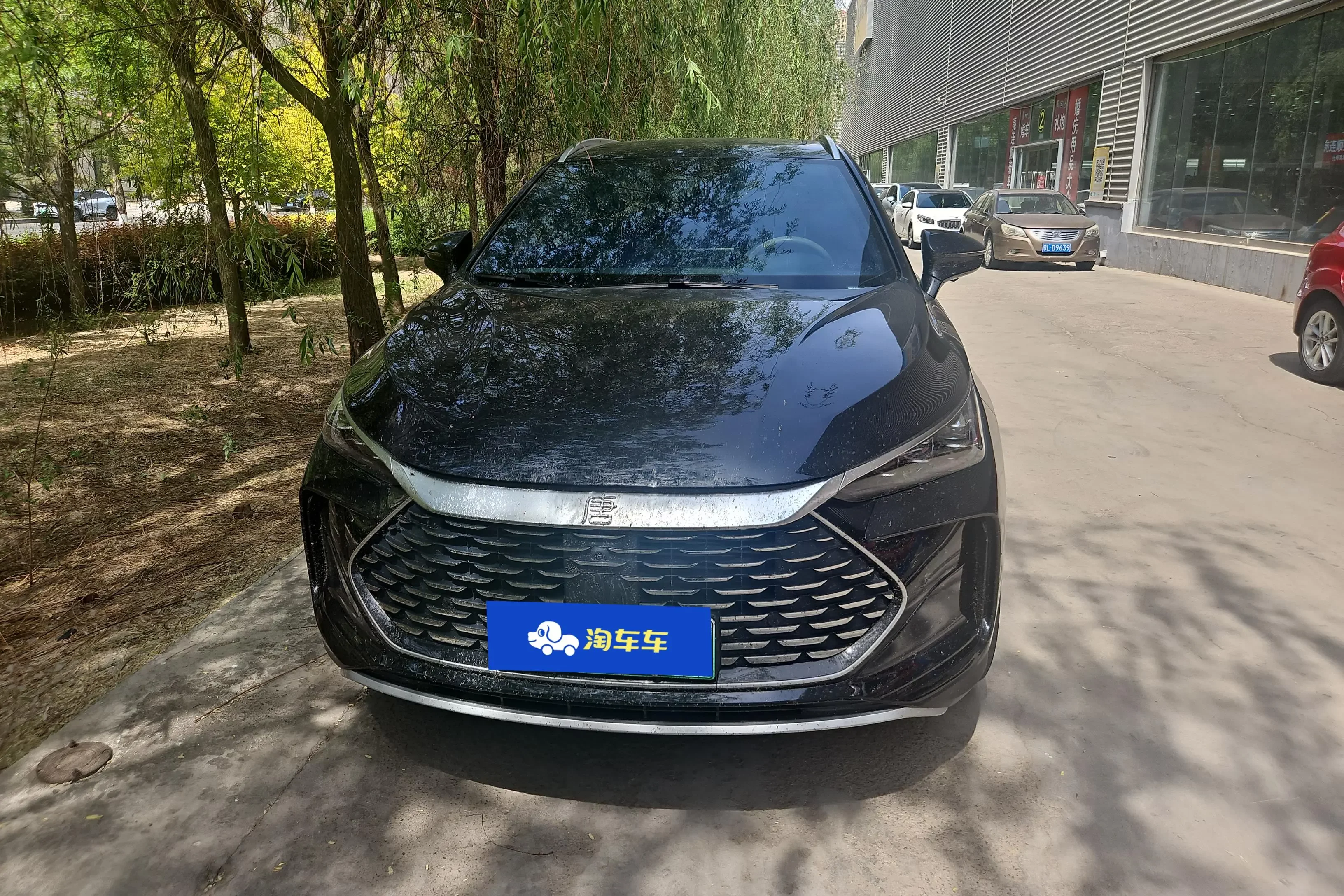 BYD Tang DM