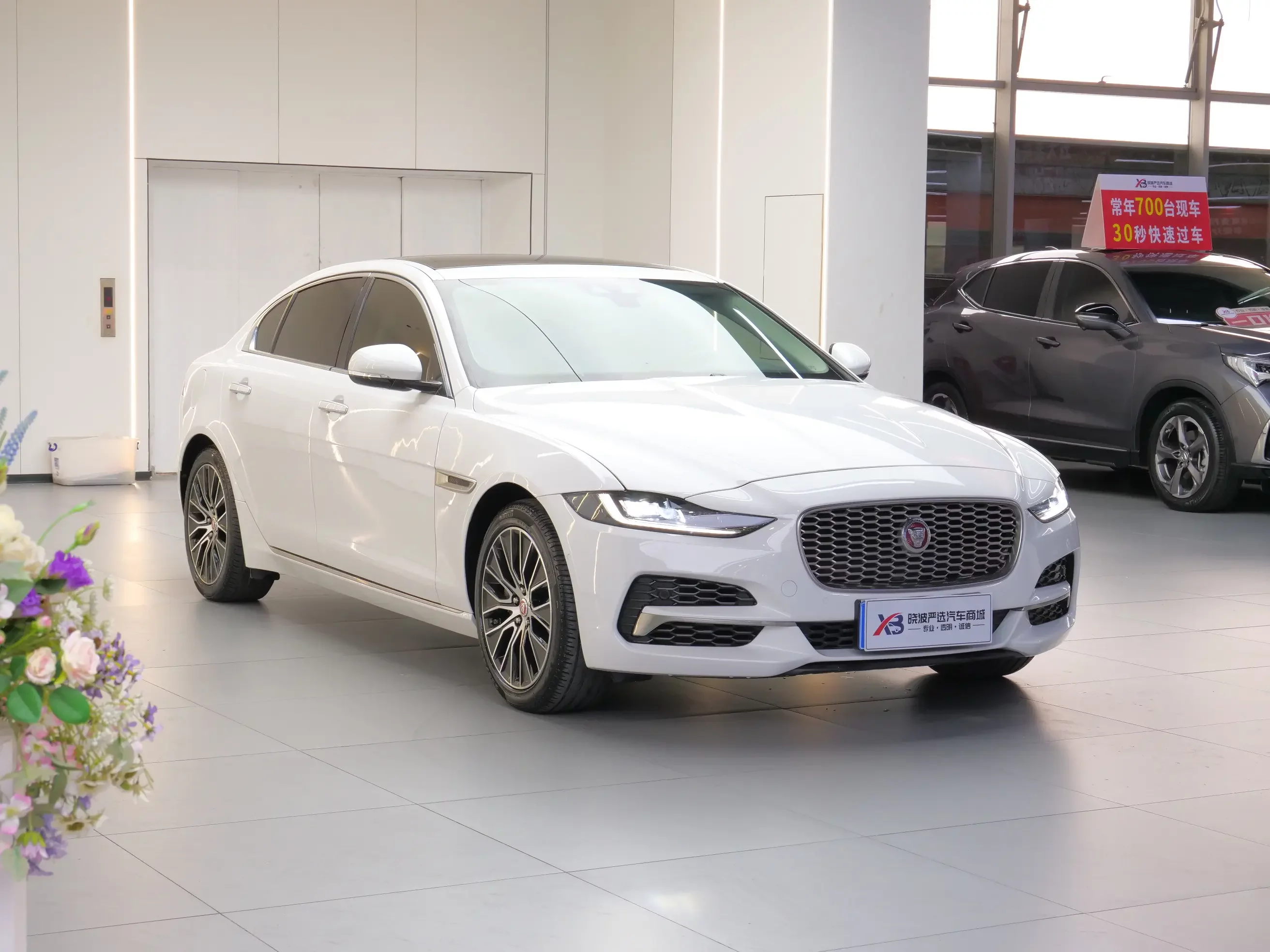 Jaguar XEL
