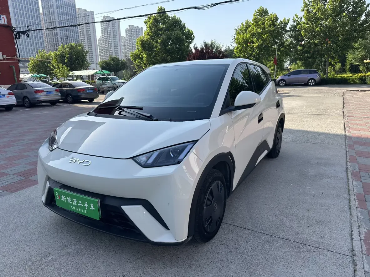 BYD seagull