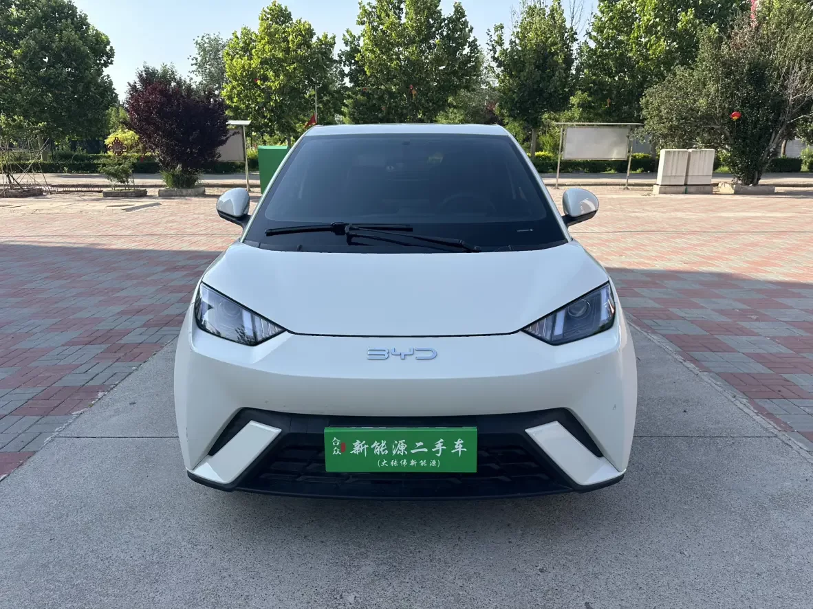 BYD seagull