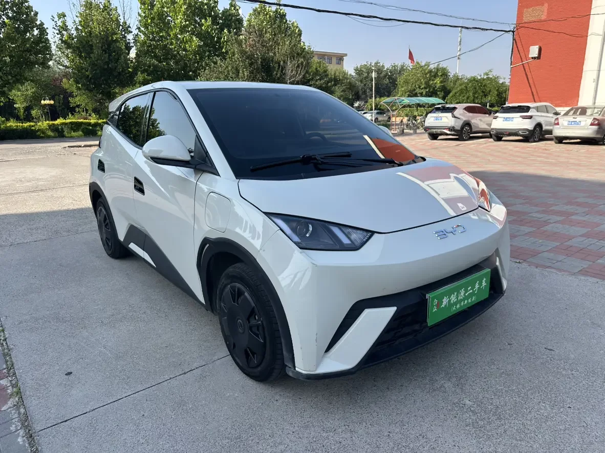 BYD seagull