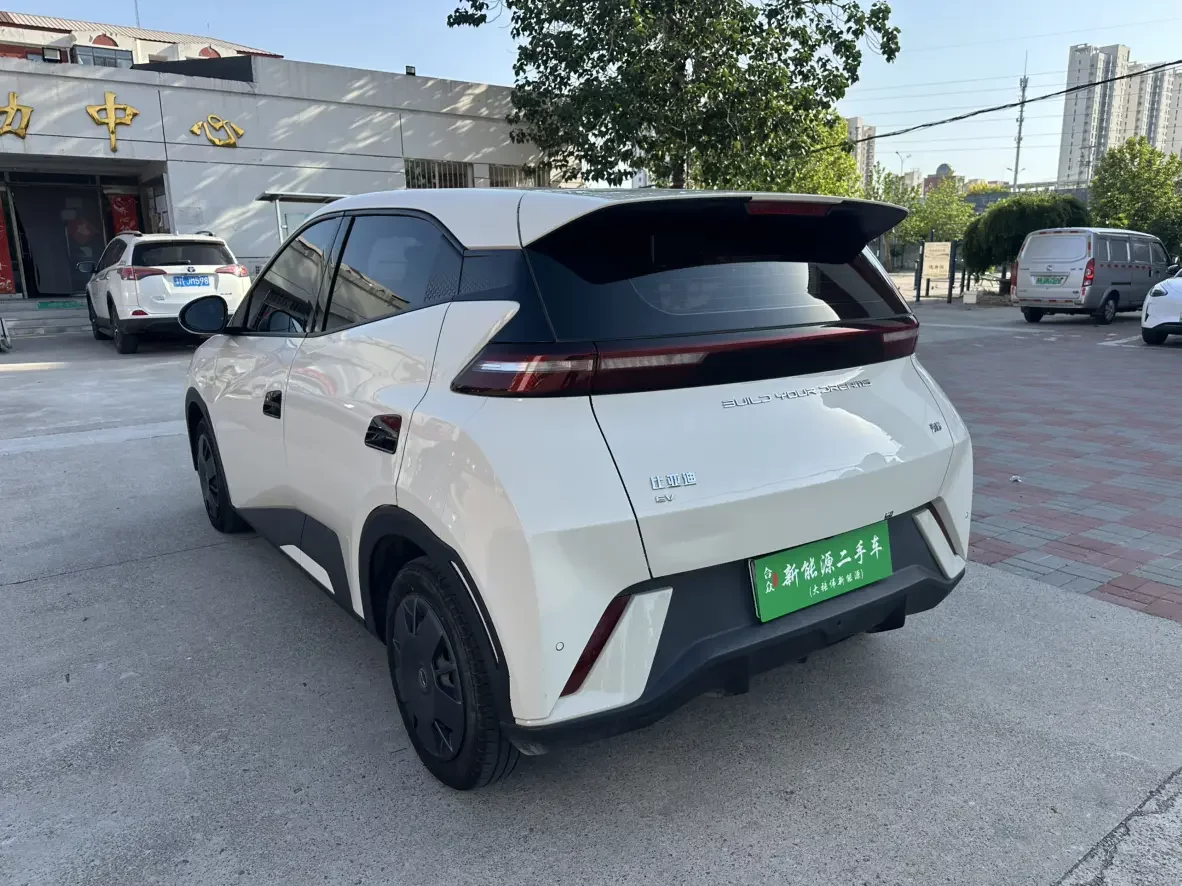 BYD seagull
