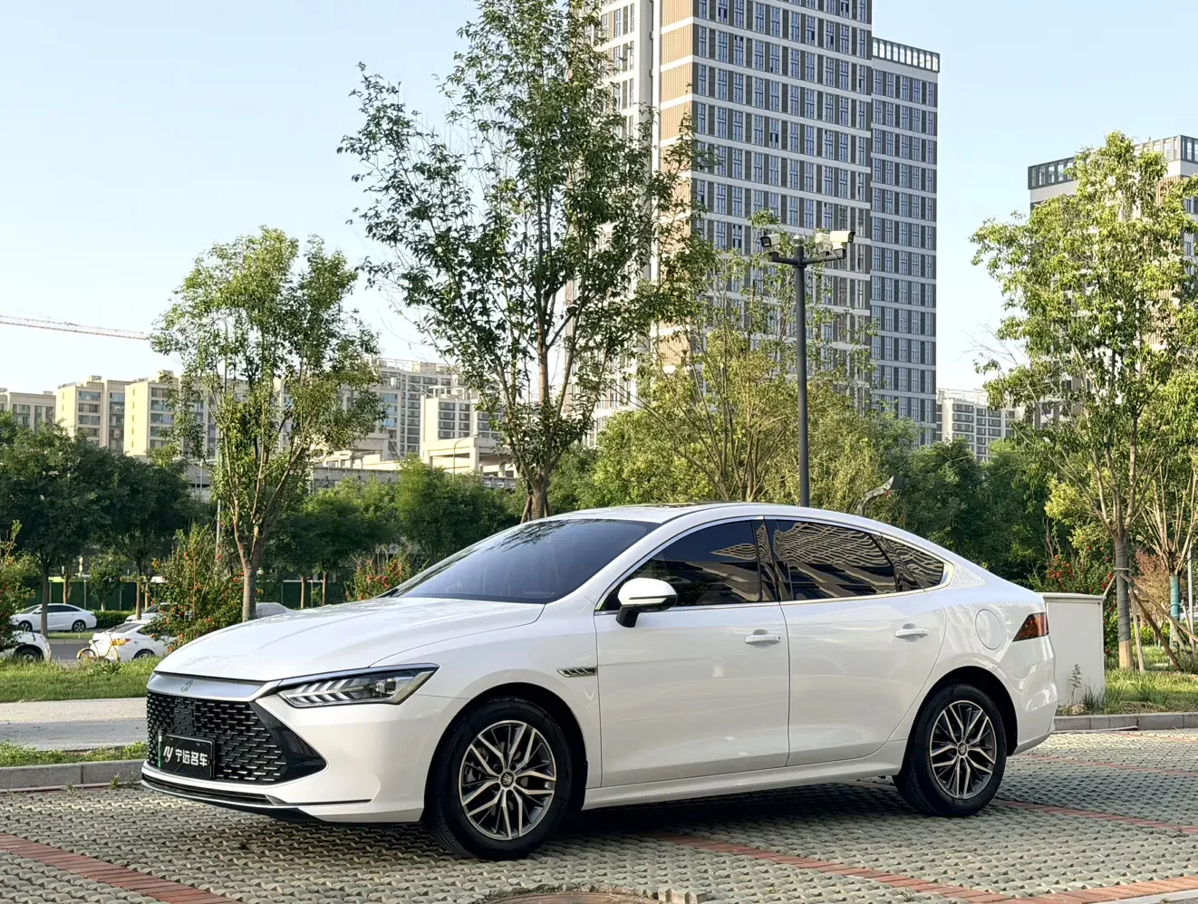 BYD Qin PLUS DM