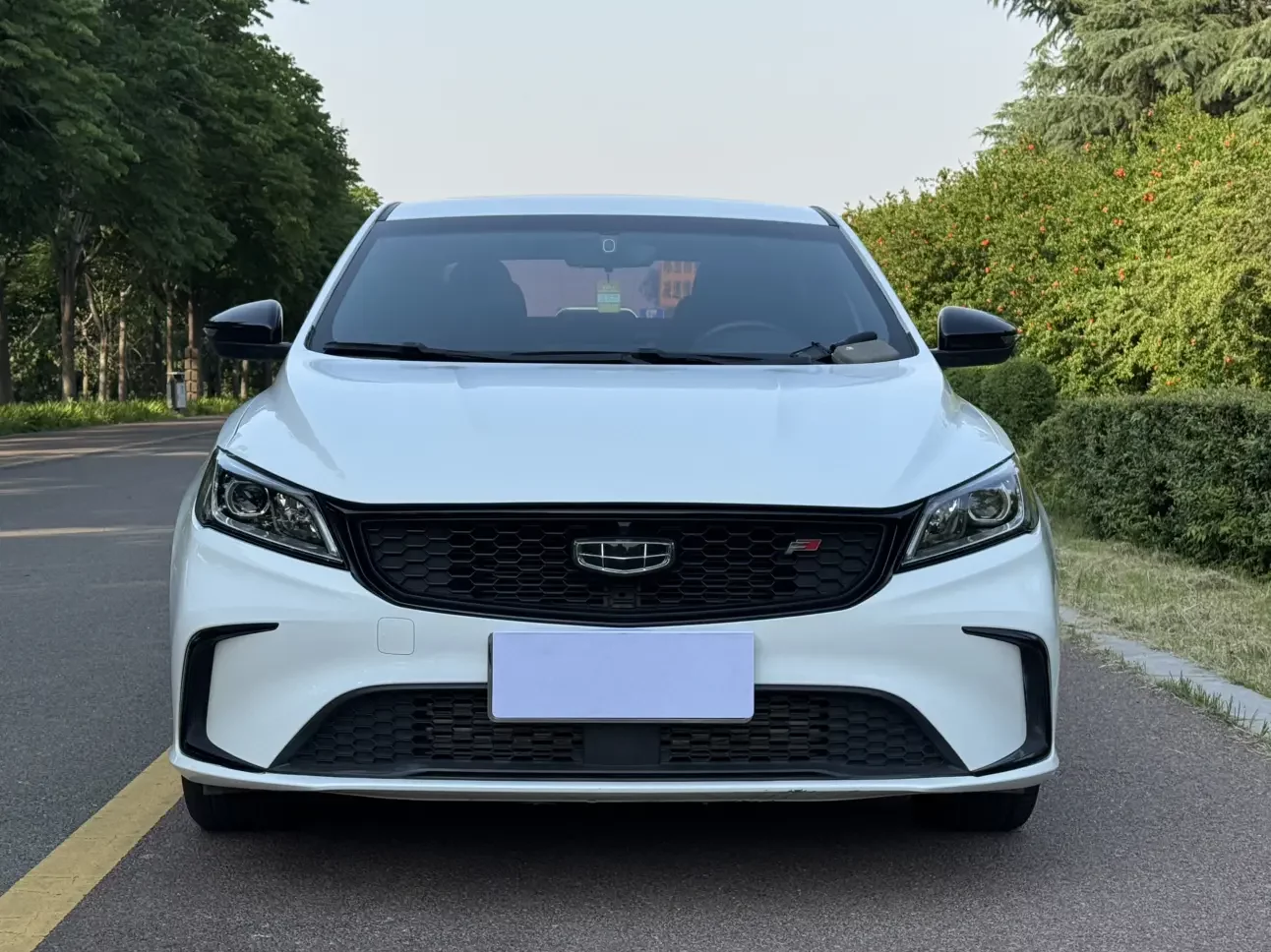 Geely Binrui