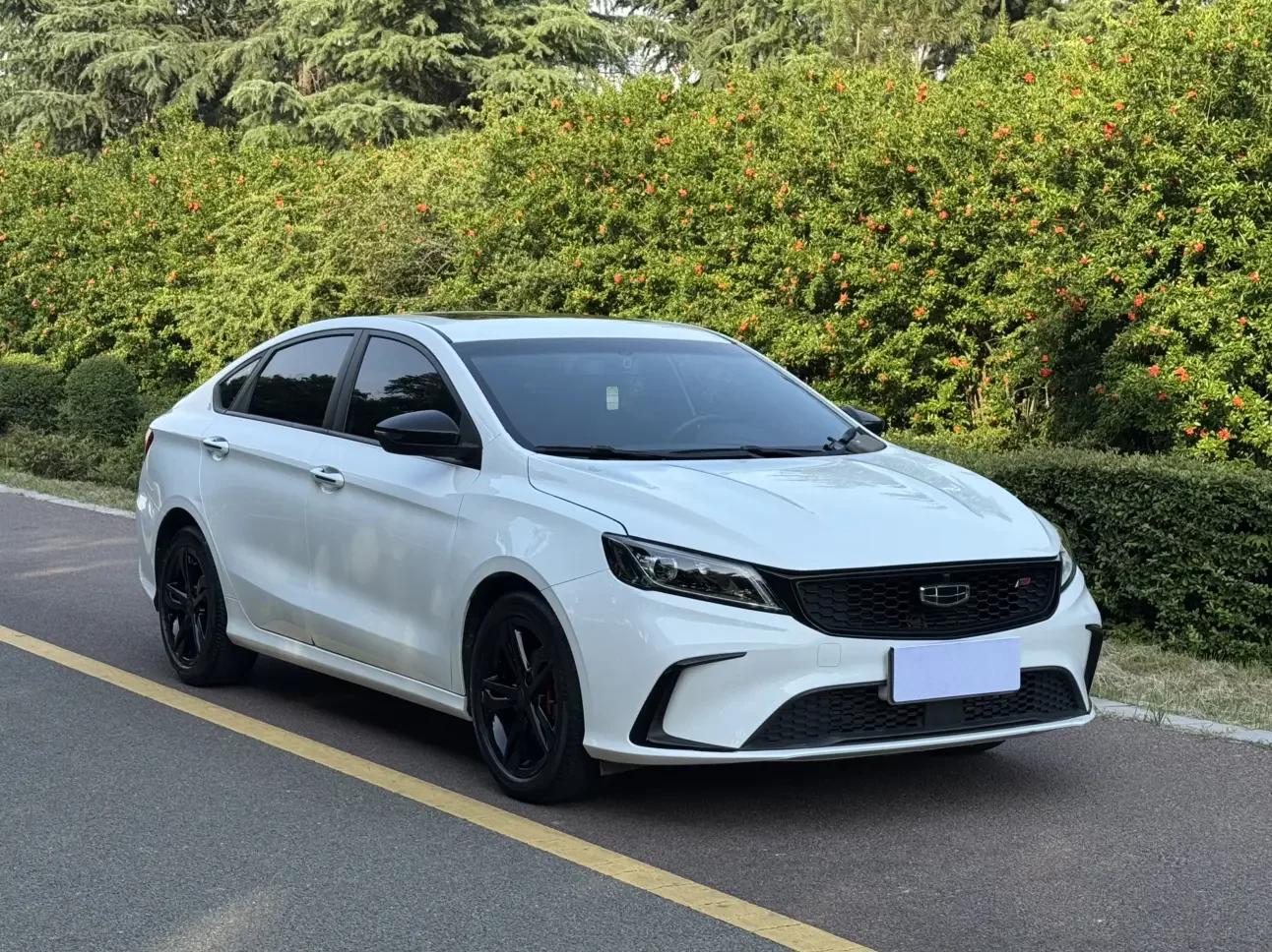 Geely Binrui