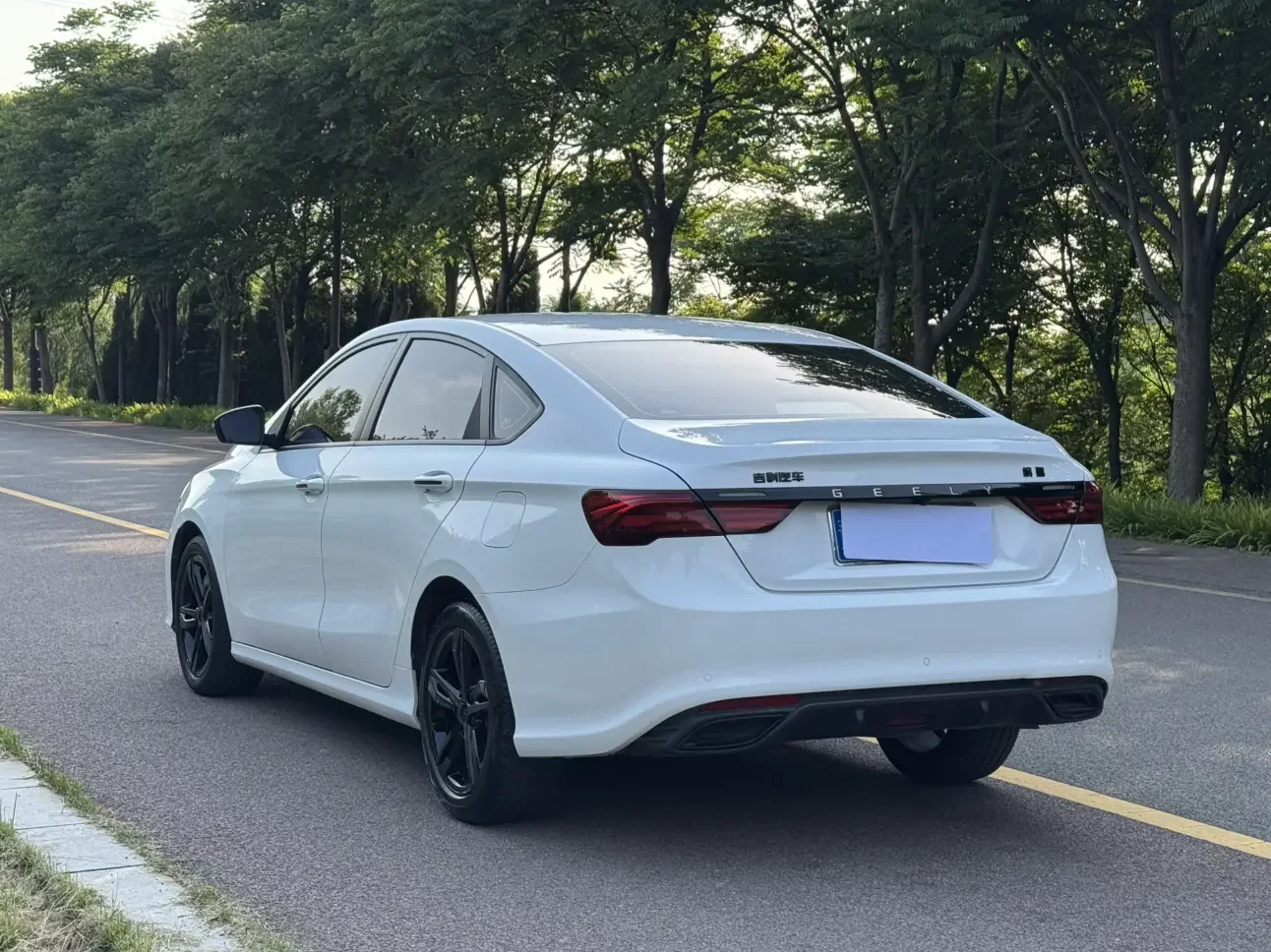 Geely Binrui