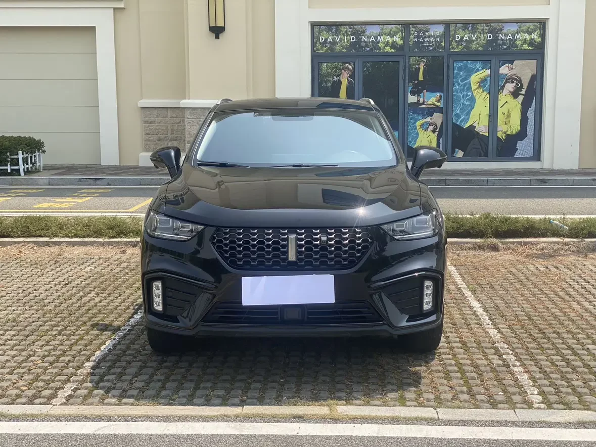 Wey Wei brand VV5