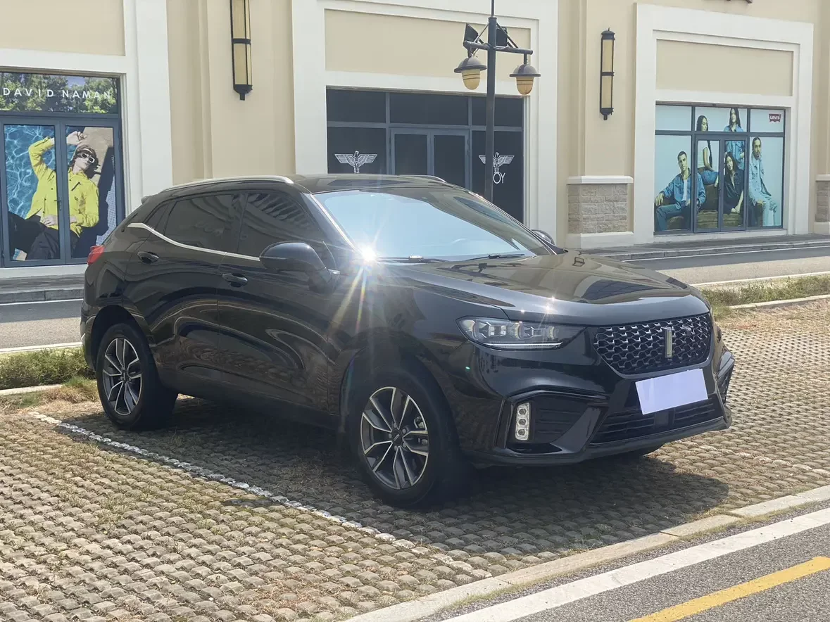 Wey Wei brand VV5