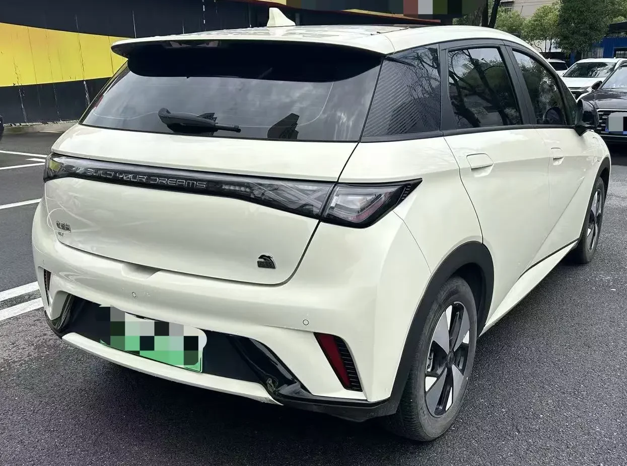 BYD dolphin