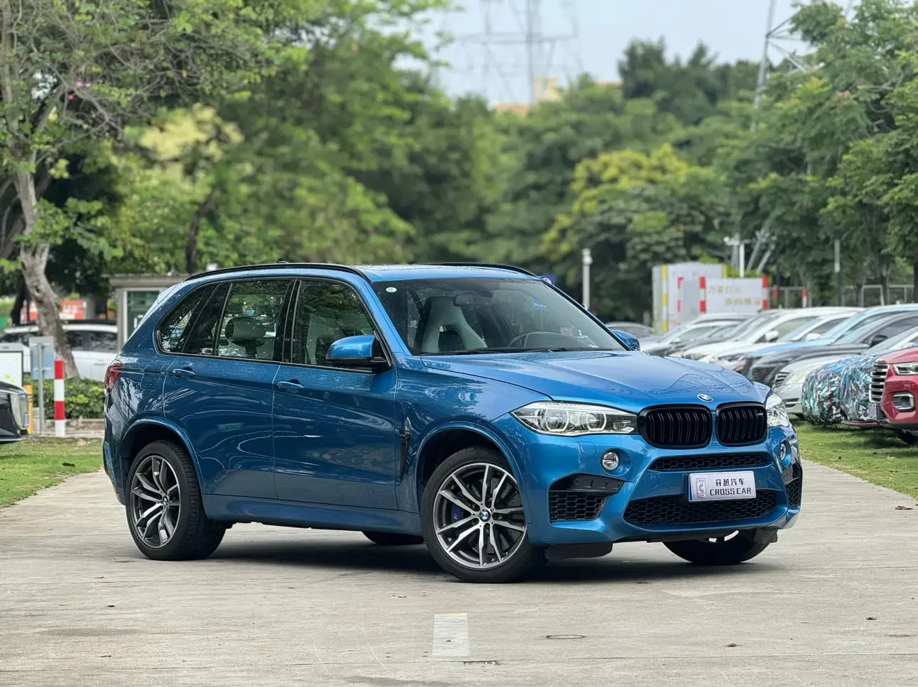 BMW X5M