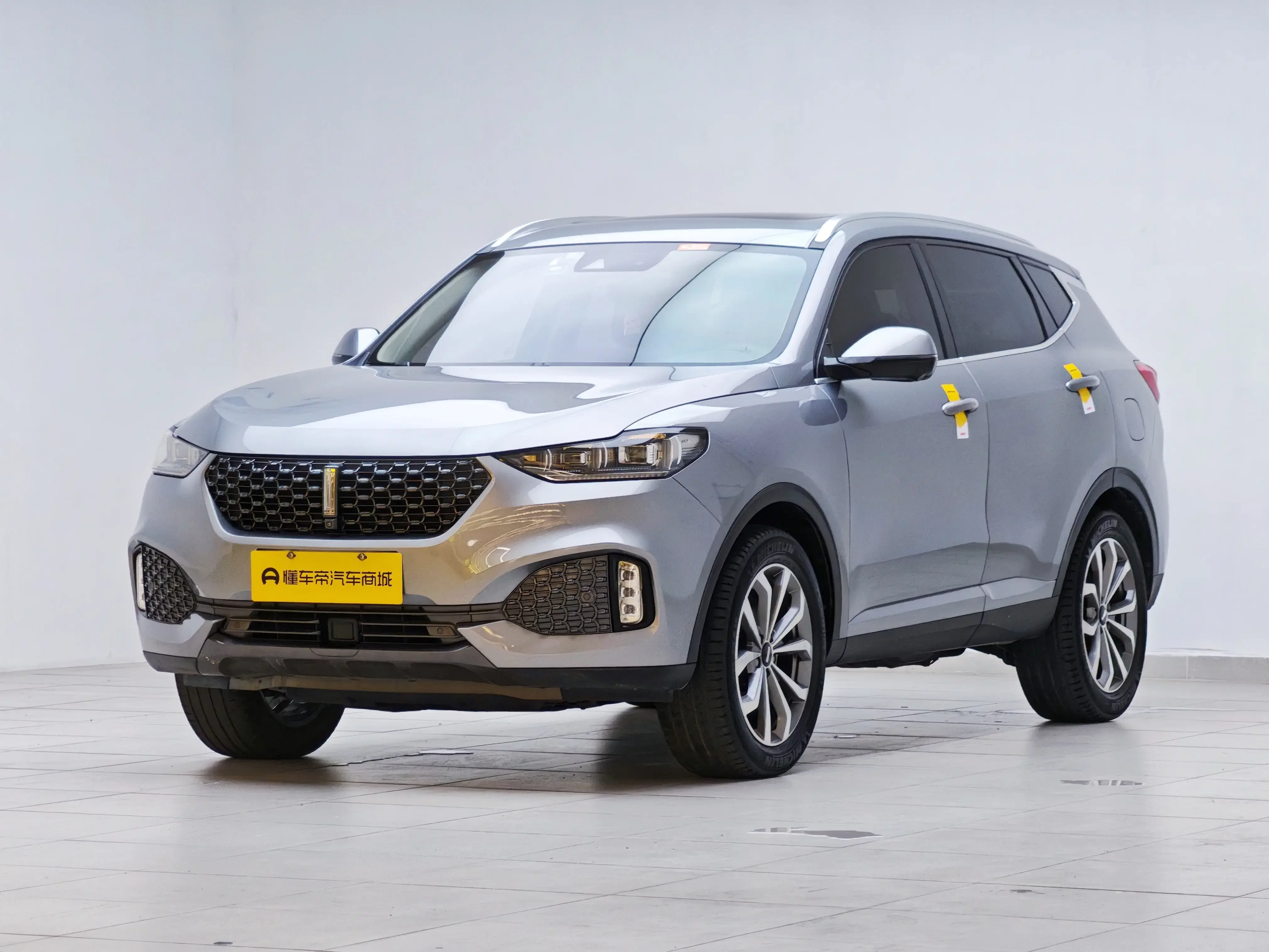 Wey Wei brand VV6