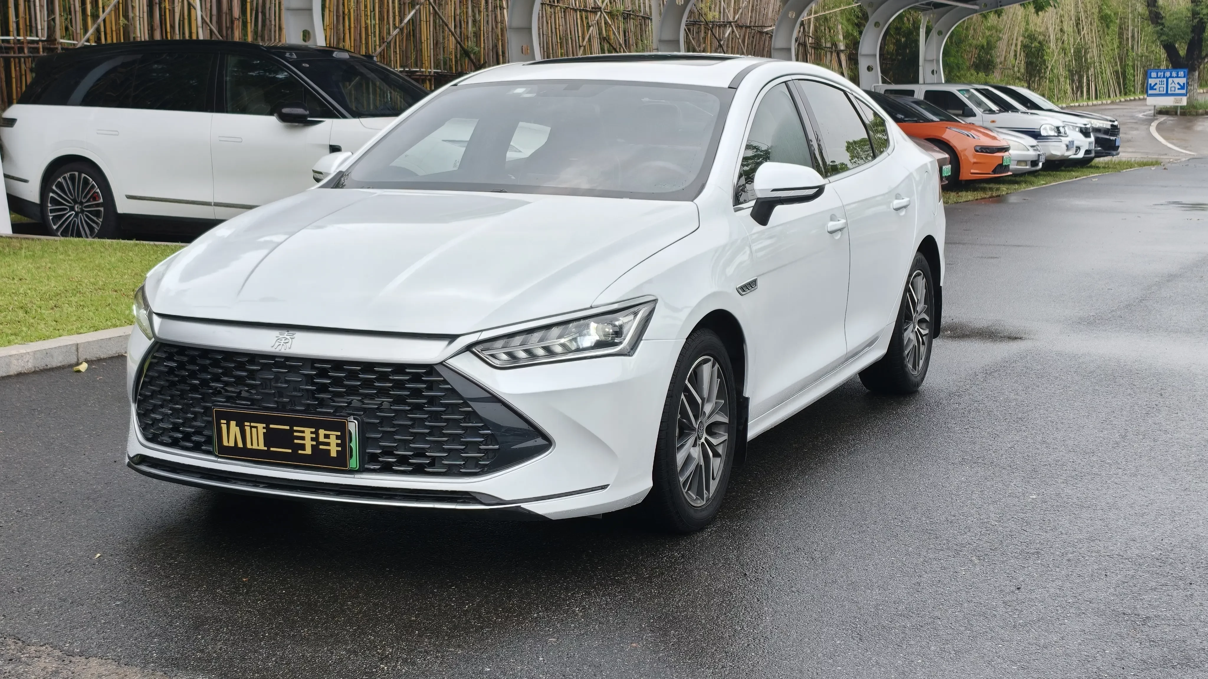 BYD Qin PLUS DM