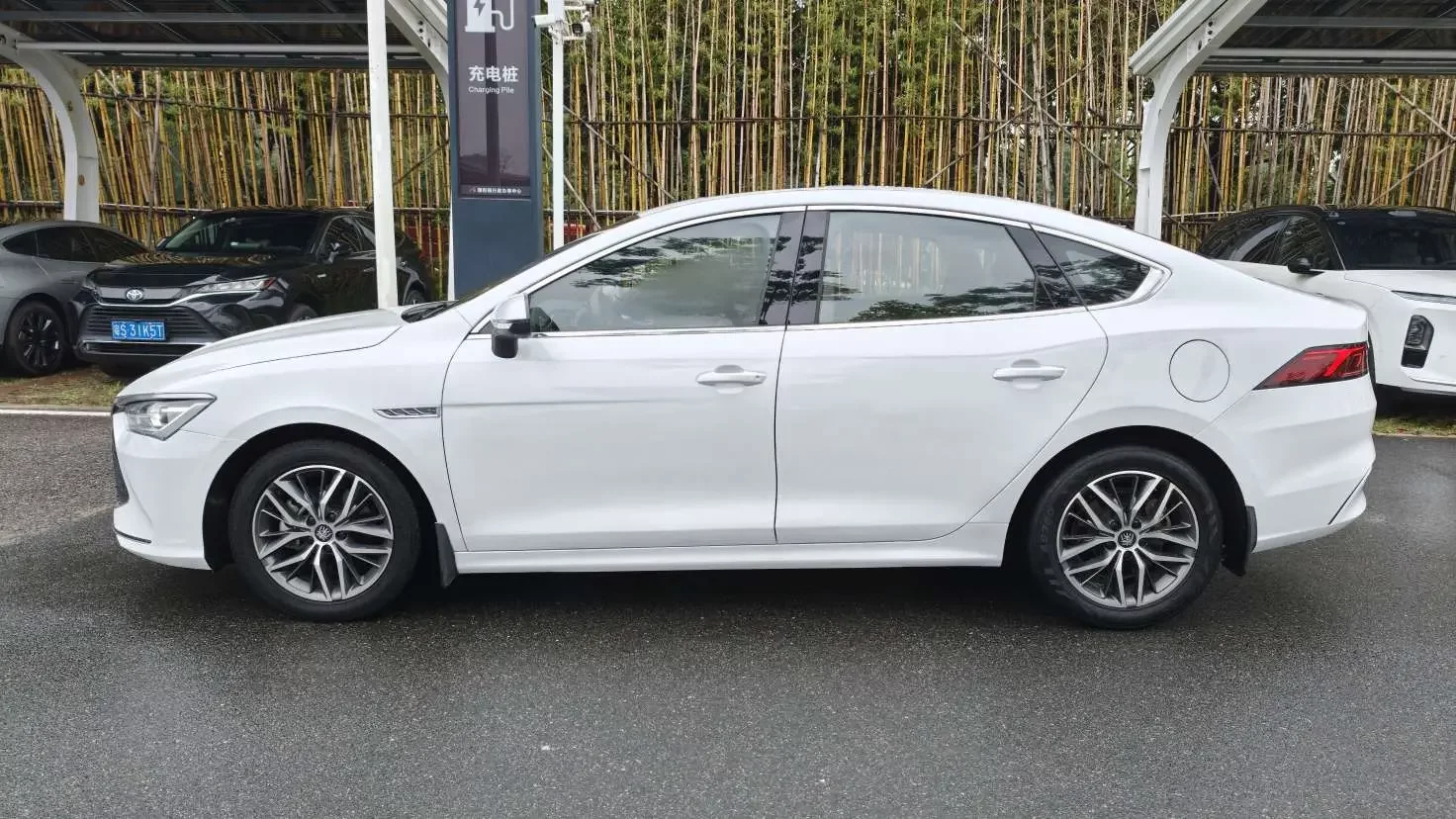 BYD Qin PLUS DM