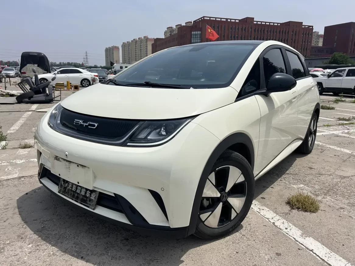 BYD dolphin
