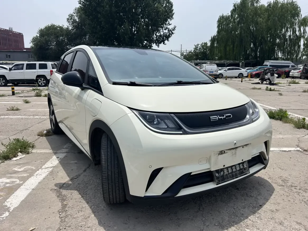 BYD dolphin