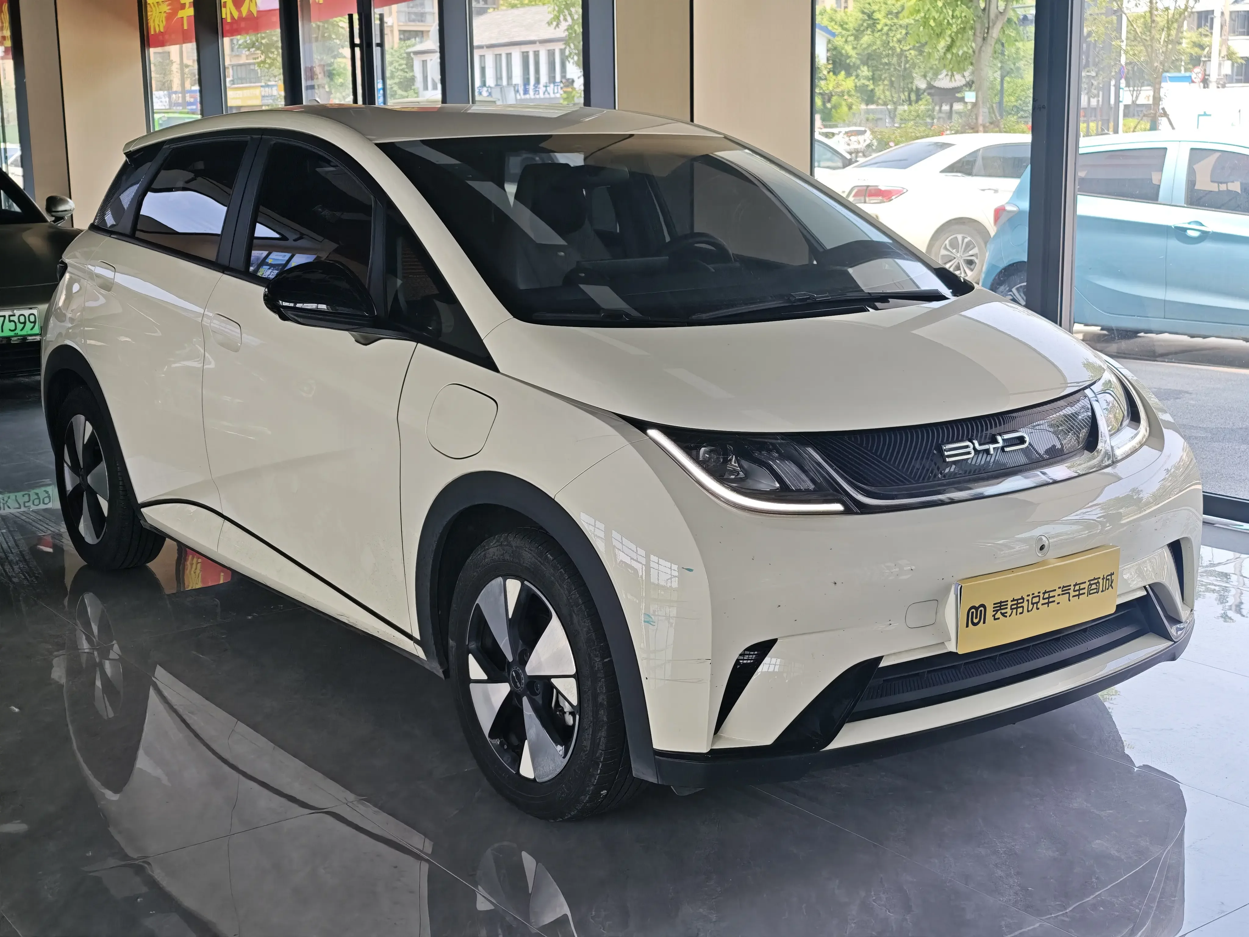 BYD dolphin