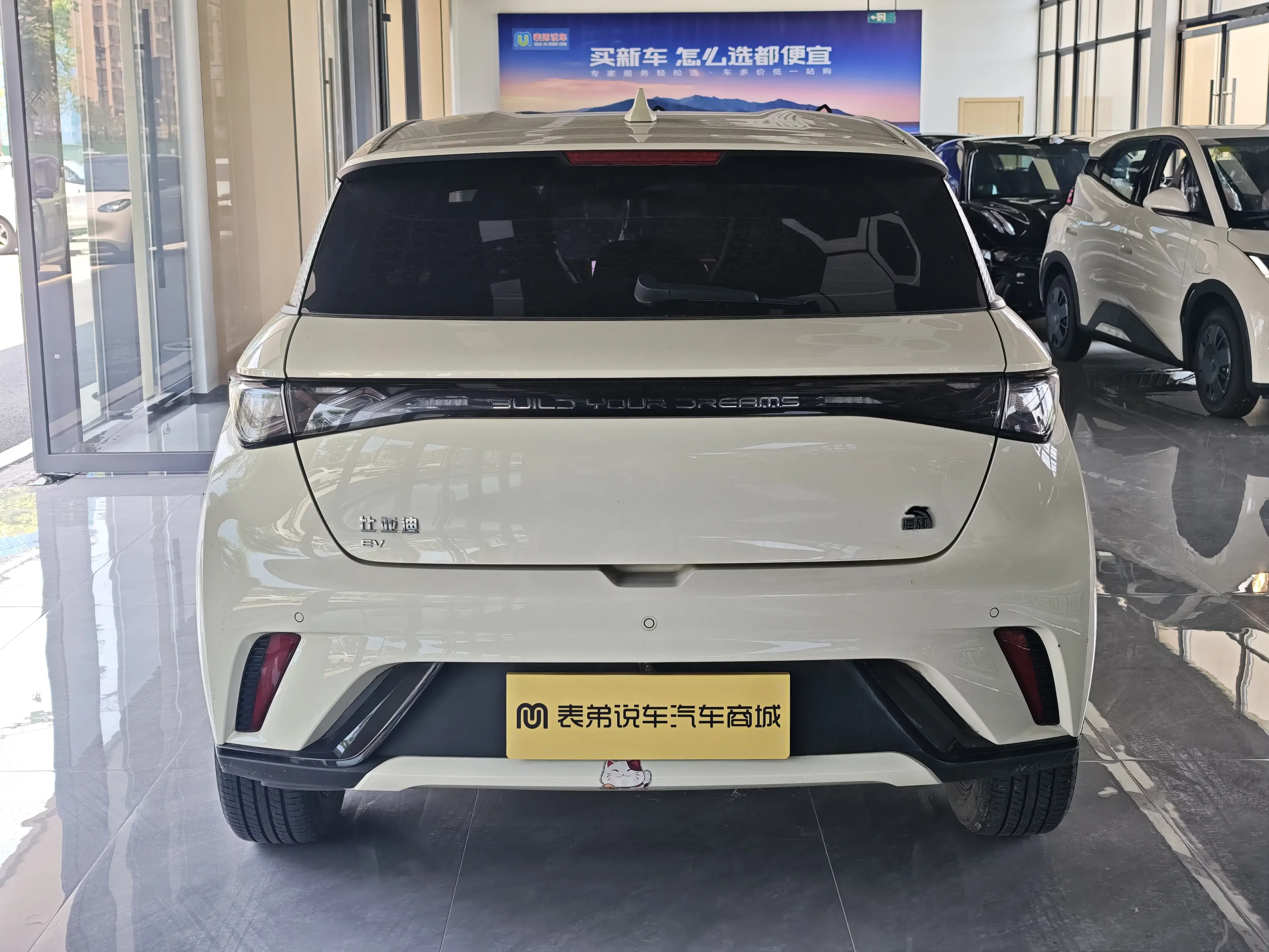 BYD dolphin