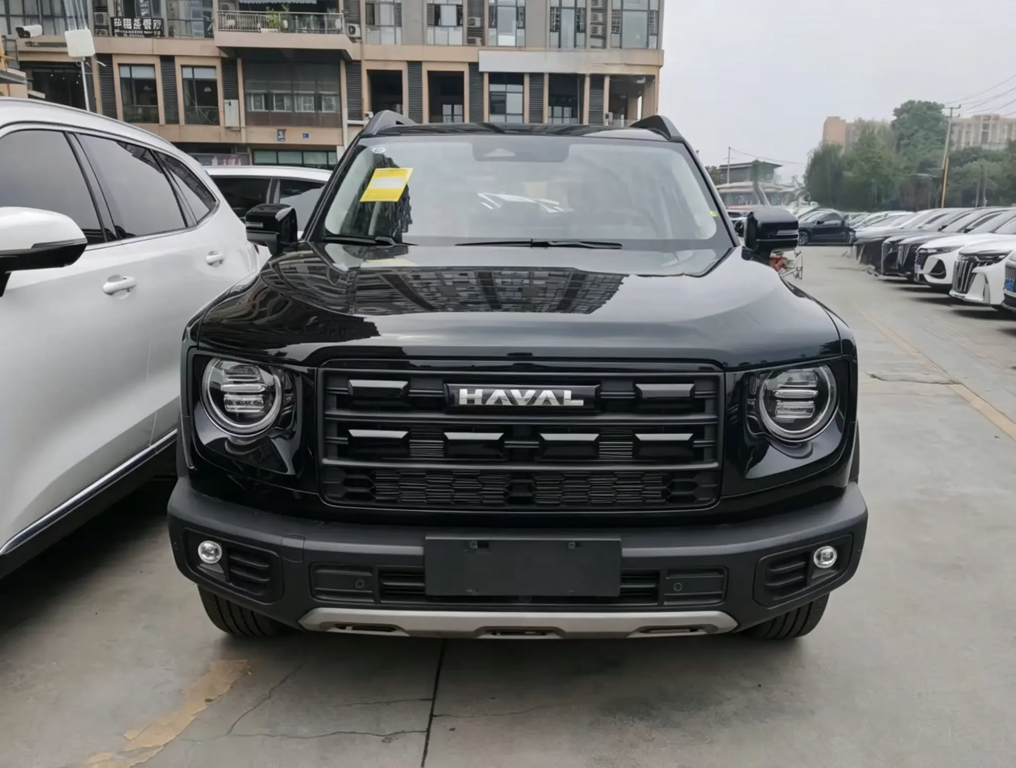 Haval Dargo