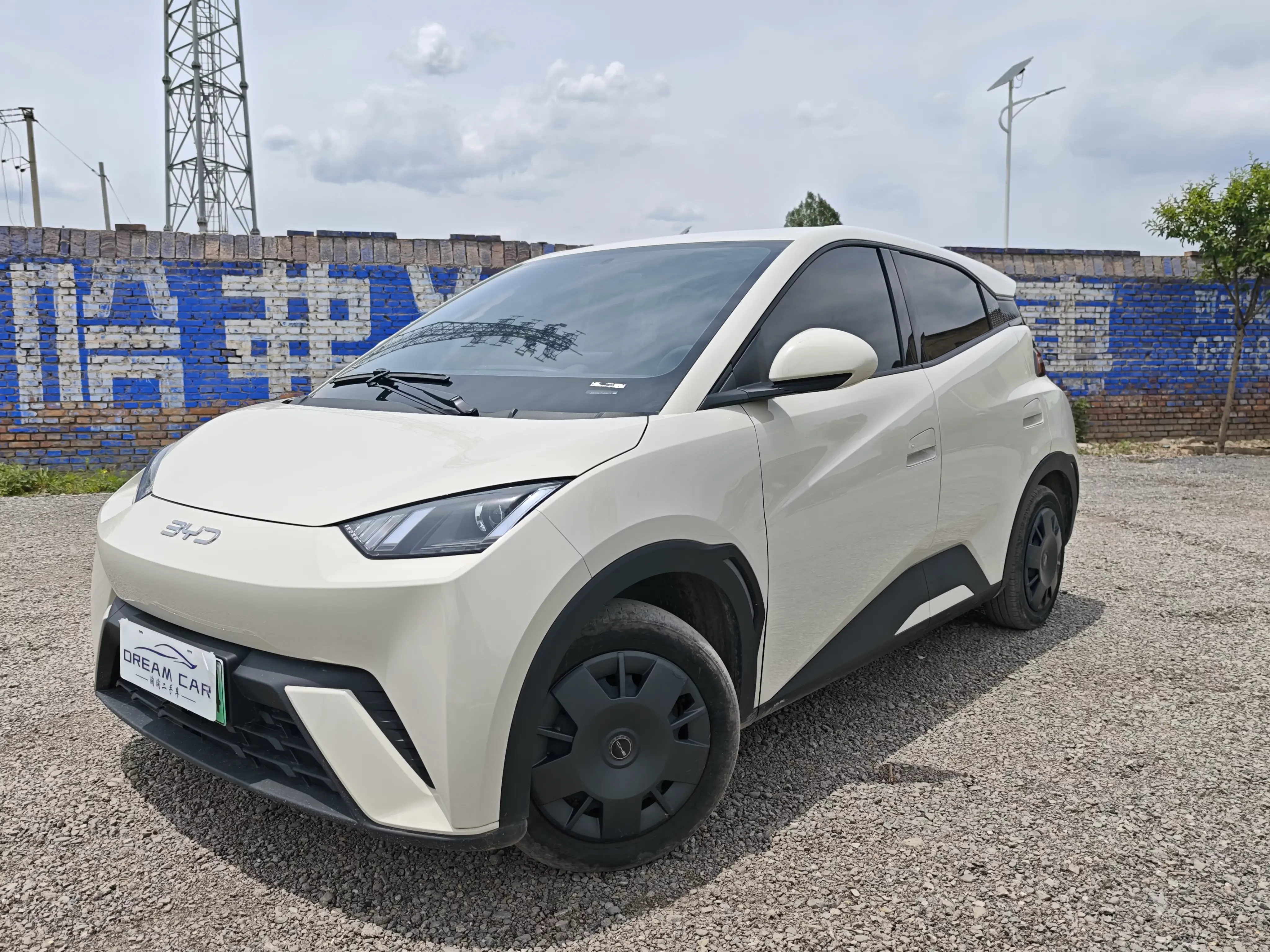 BYD seagull