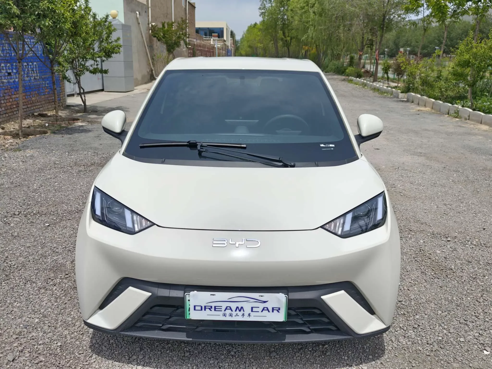 BYD seagull